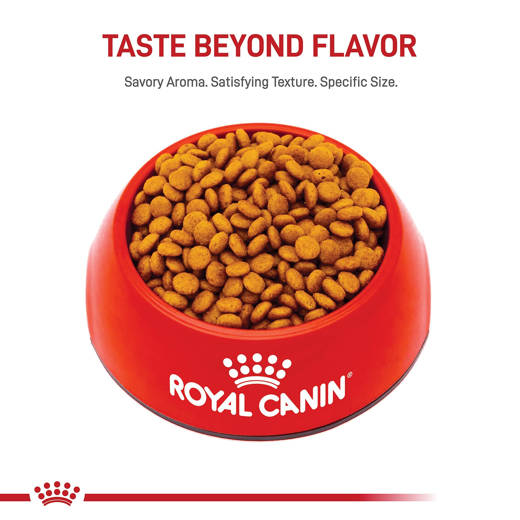 Royal Canin X-Small Adult Dry Dog Food, 14 lb Bag - Size Health Nutrition, Model 512214