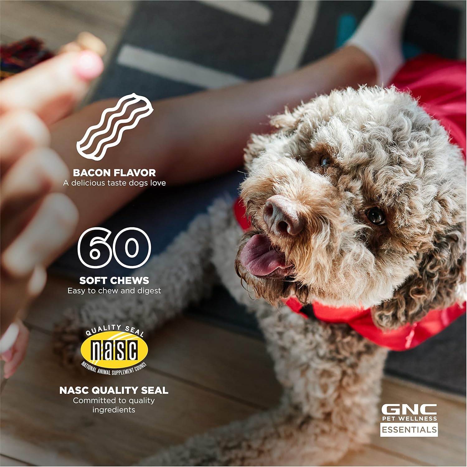 GNC Pets Essentials Digestion Supplements for All Dogs, 60ct - 3 Pack| Soft Chews Bacon Flavor 12oz Reusable Container | Daily S