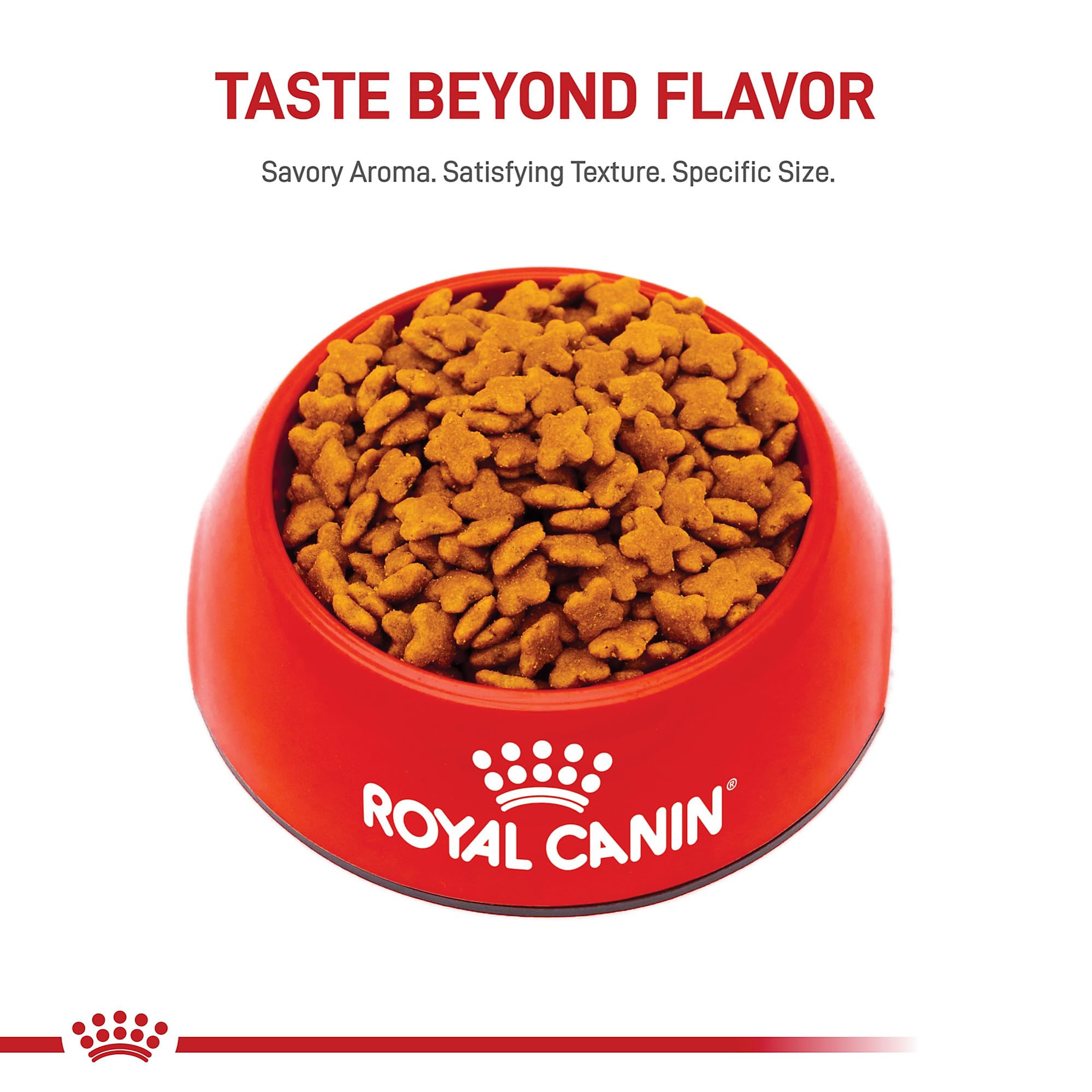 Royal Canin Size Health Nutrition Small Adult 8+ Dry Dog Food, 13 lb bag