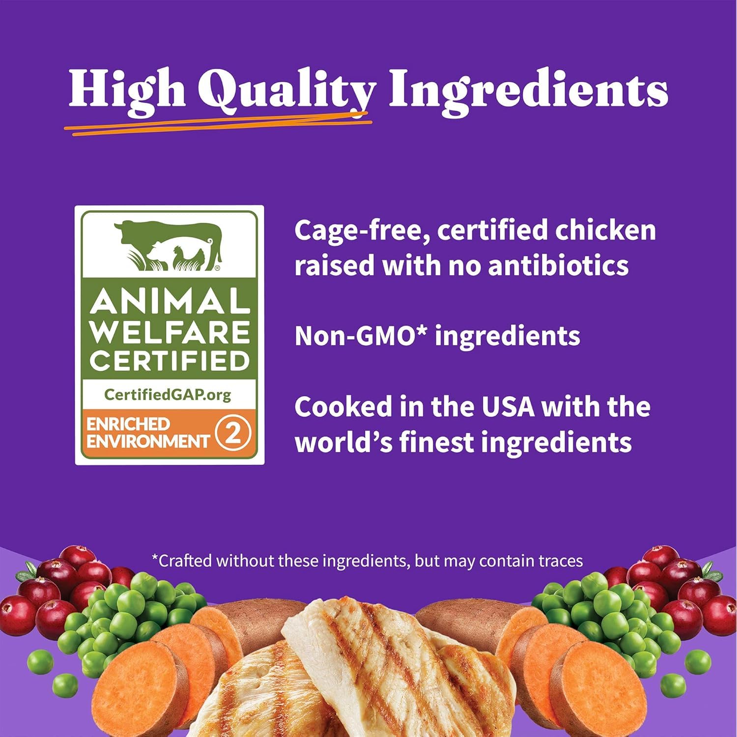 Halo Holistic Cage Free Chicken Cat Food, Healthy Grains Dry Cat Food, Complete Digestive Health, Kibble for Adult Cats, 10 lb B