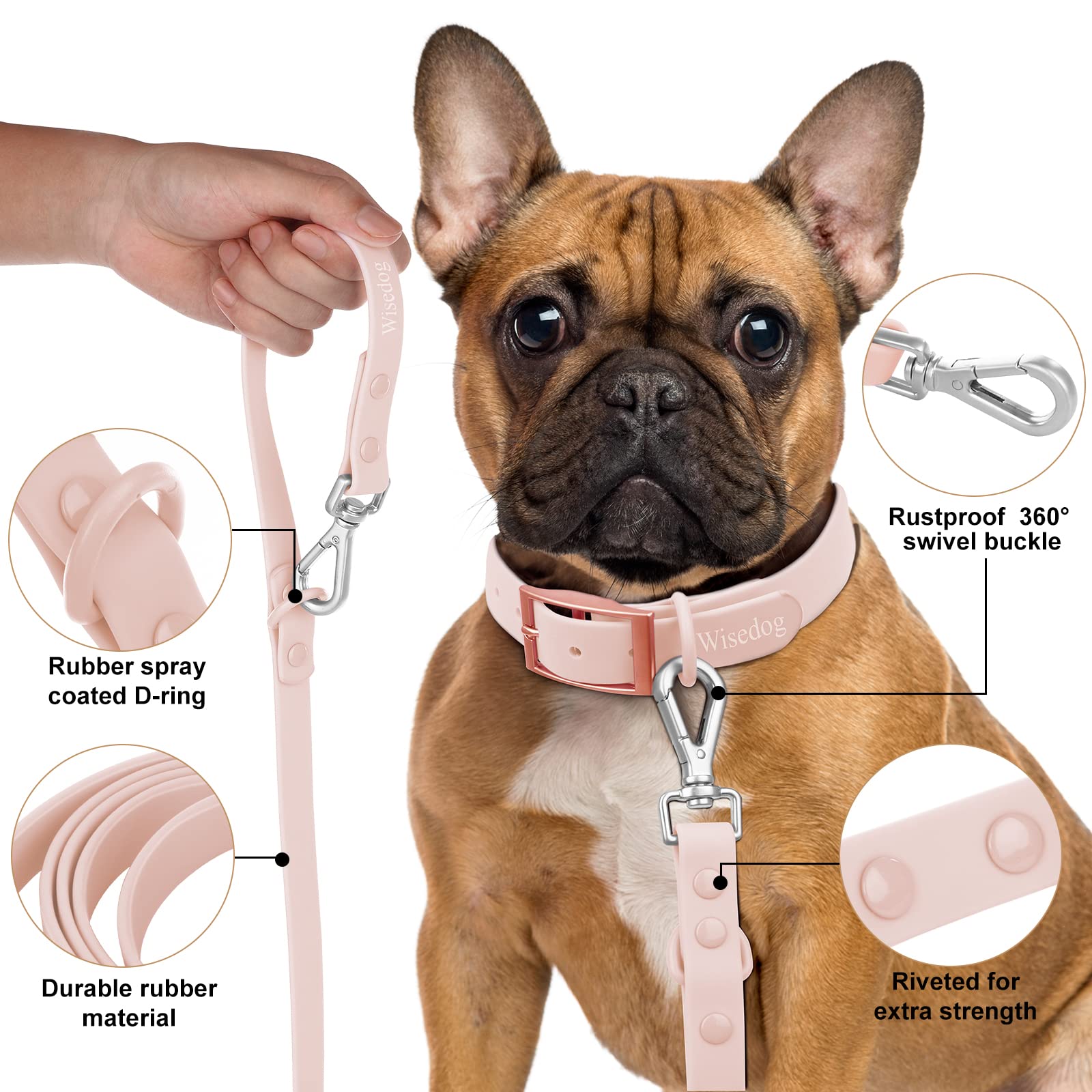 Waterproof Dog Leash: Standard Dog Leashes With 2 Hooks For Walking, Adjustable Lengths For Traffic Control Safety, Durable And Odor Proof, For Medium Large Dogs (L|3/4 In × 6 Ft, Gossamer Pink)