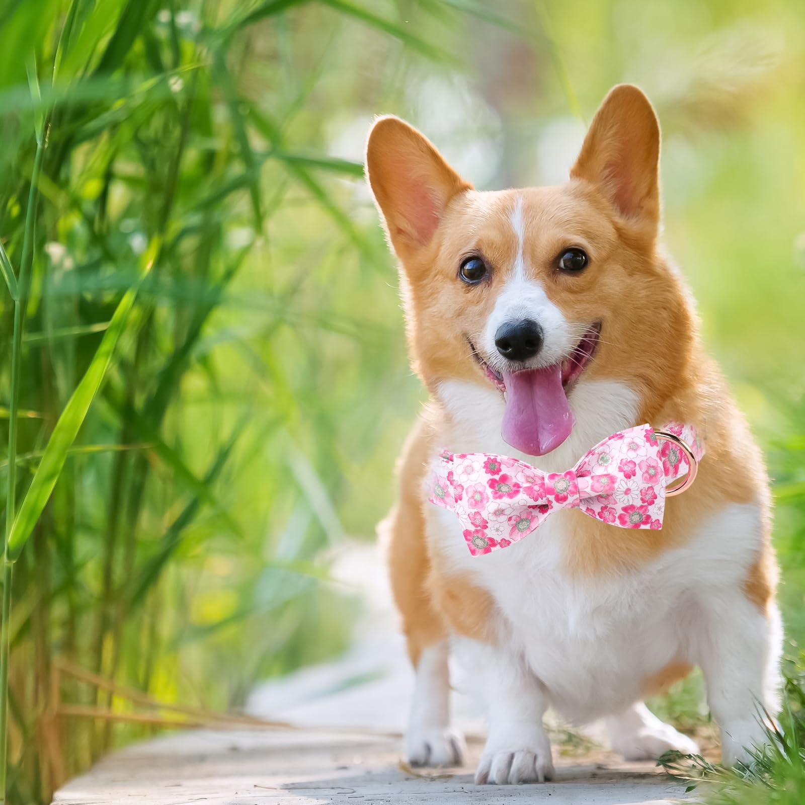 Unique Style Paws Summer Dog Collar With Bow, Lovely Bow Tie Dog Collar,Pink Flower Dog Bow For Girl,Boy Dogs,Cats,Xl,16-26In