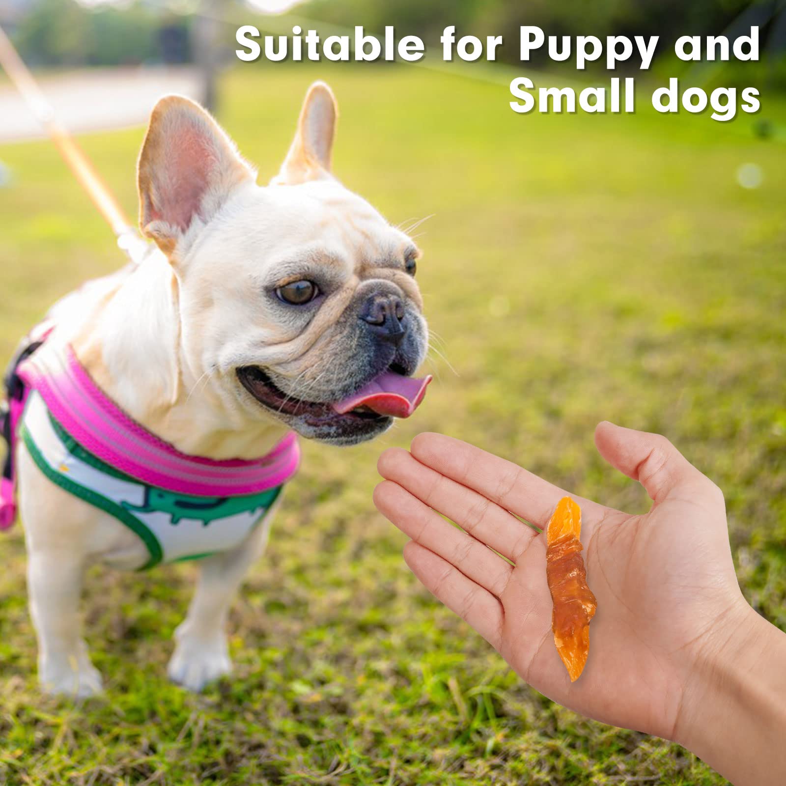 MON2SUN Dog Treats Rawhide Free Chicken Wrapped Sweet Potato Snacks, Gluten & Grain Free, Treats for Puppy and Small Dogs, (Chic
