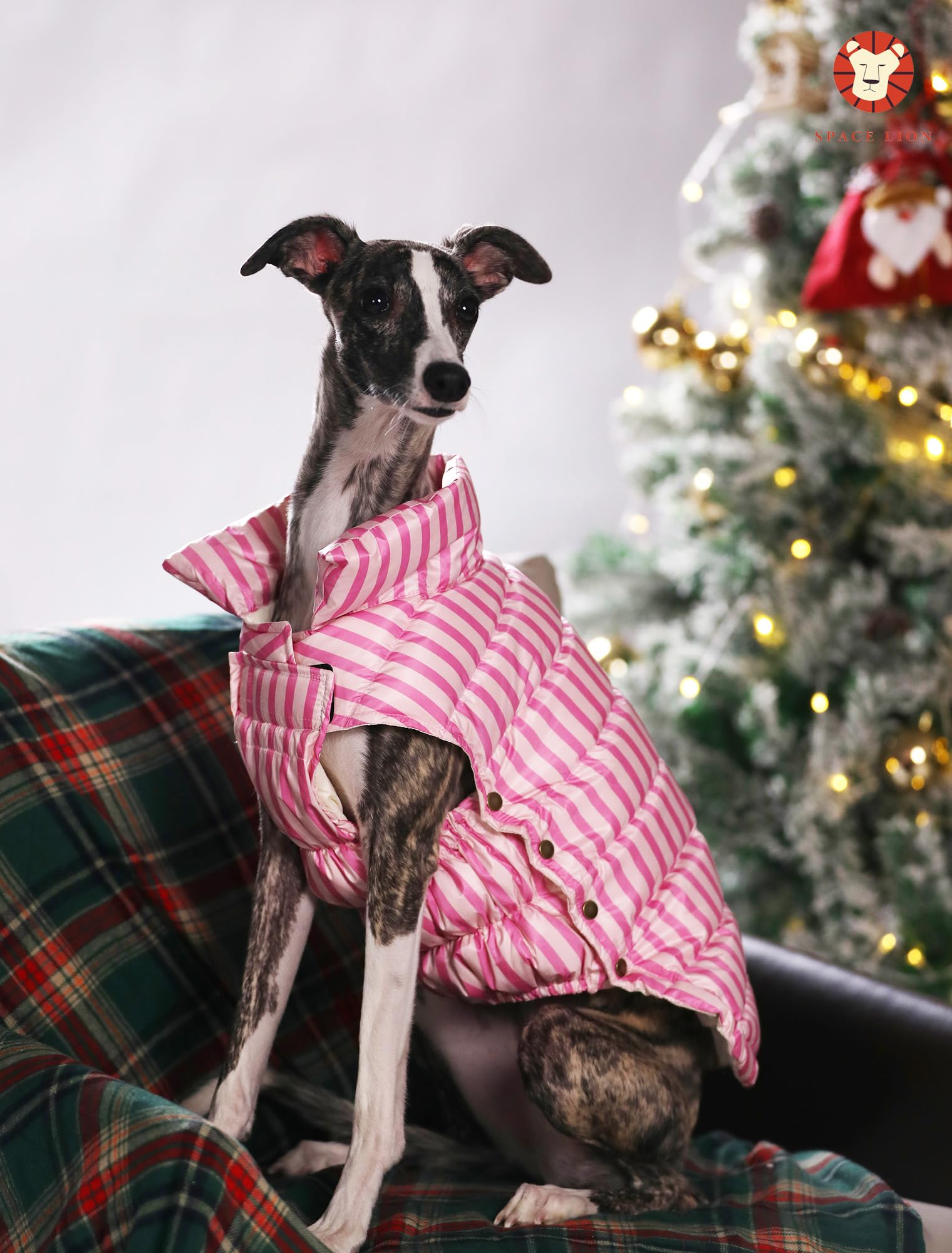 Space Lion Puffer Jacket - Duck Down Dog Coat, Waterproof, Windproof, Lightweight, Adjustable Fit For Small, Medium, And Large D