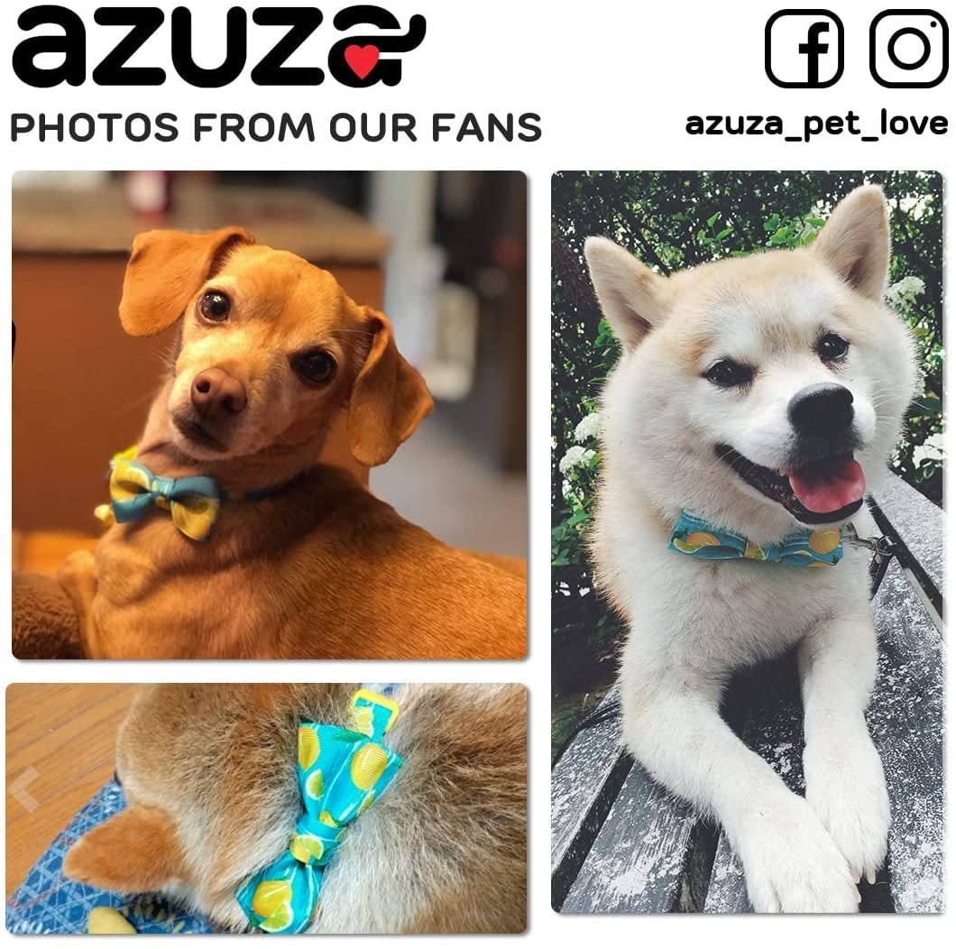 Azuza Dog Collar Bow Tie Lemon Dog Collar Soft Adjustable Bowtie Dog Collars For Extra Small Dogs