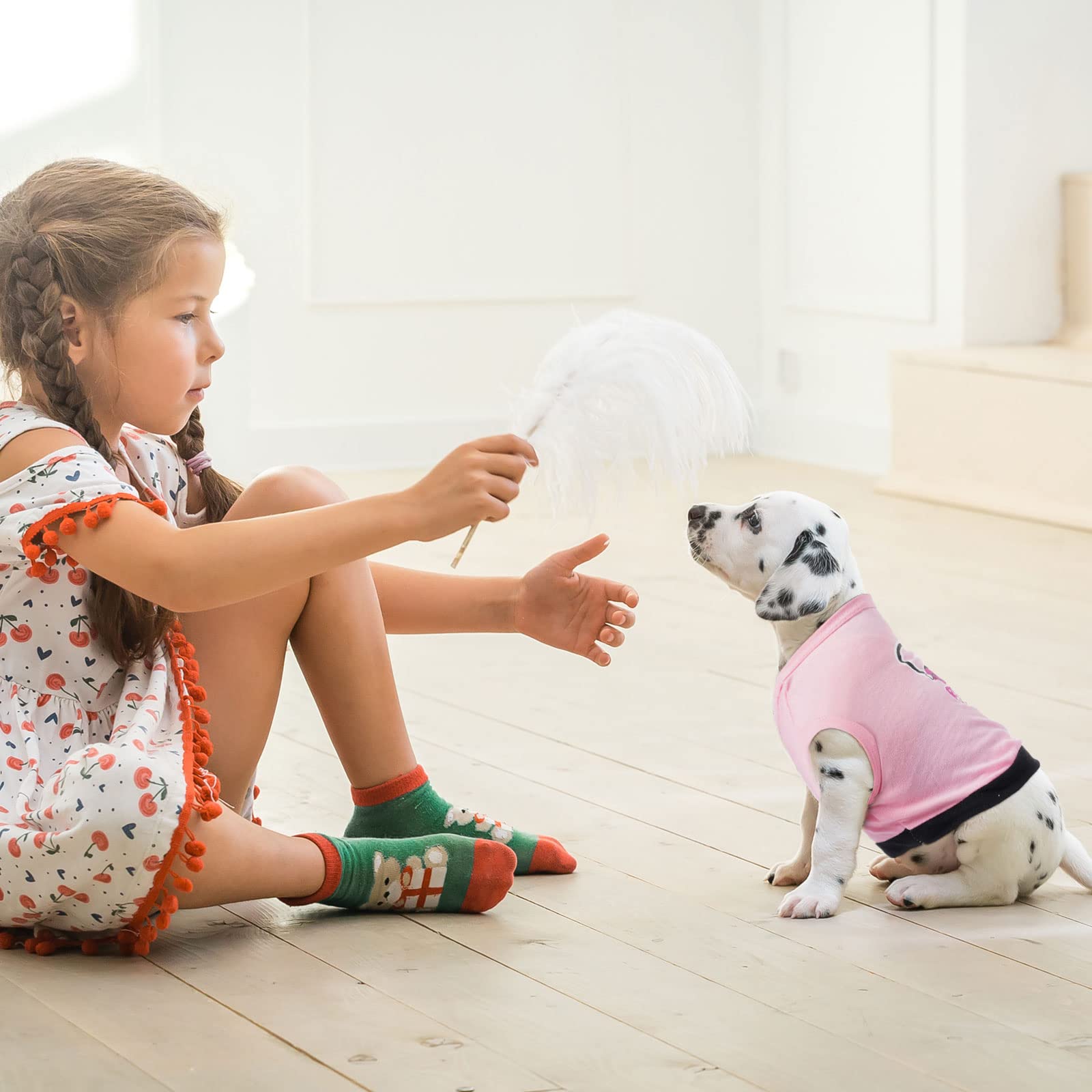 8 Pieces Pet Shirts Printed Puppy Soft Dog Shirt Pullover Cute Dog Sweatshirts Valentine‘S Day Puppy Girl Clothes Outfits Small Pet Cats(Vivid Pattern,X-Small)