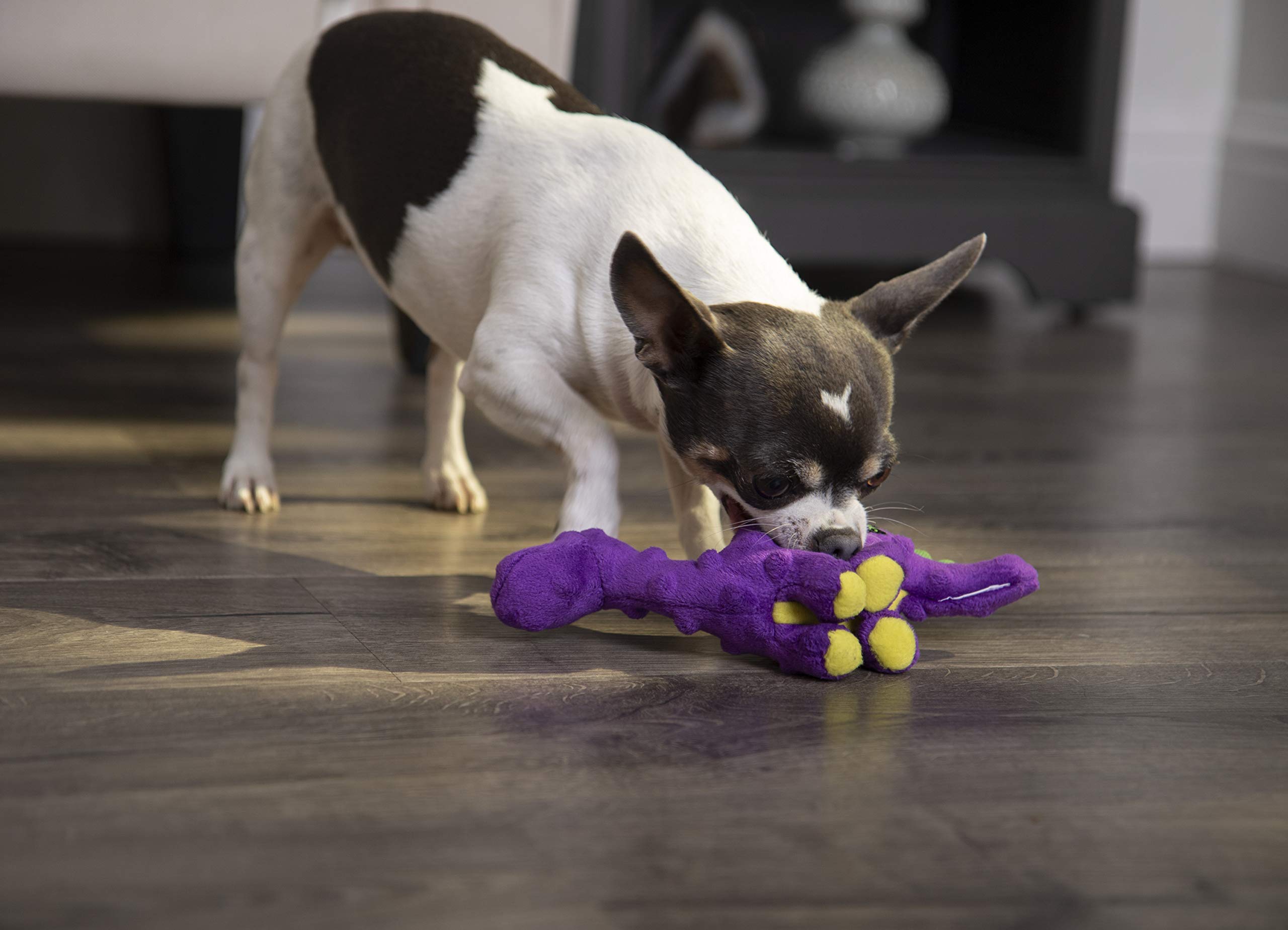 Godog Just For Me Bruto With Chew Guard Technology Plush Dog Toy, Purple, Mini