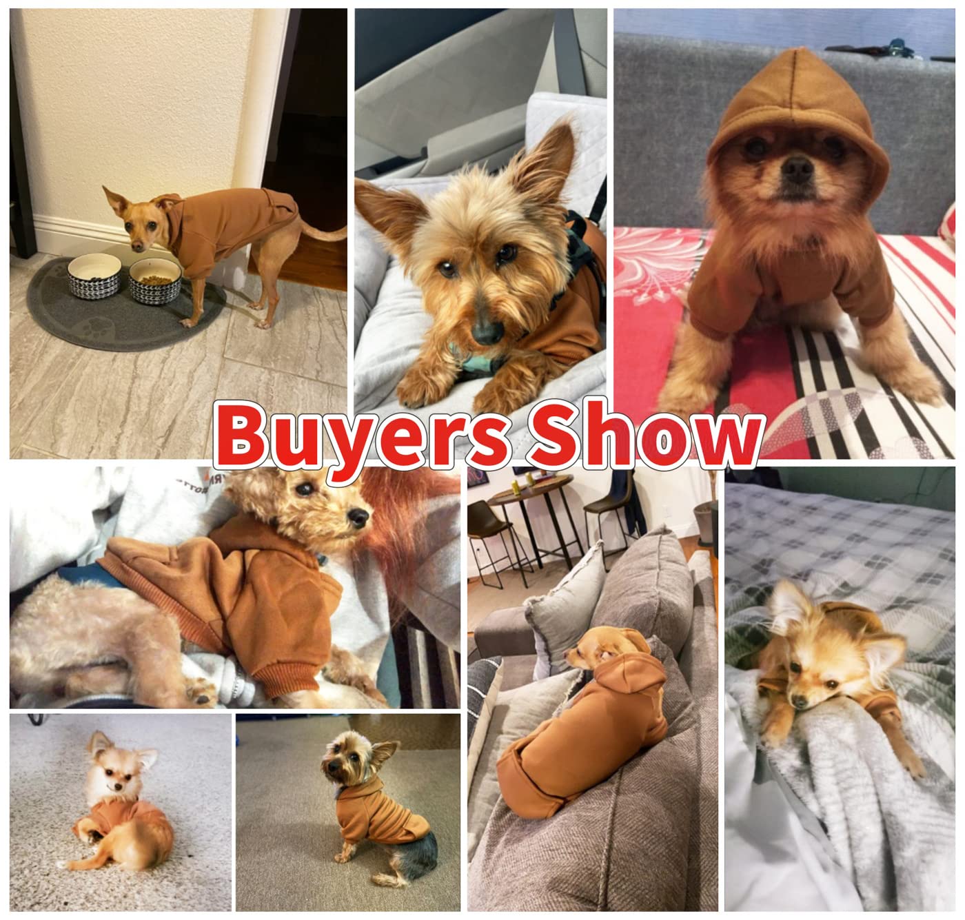 Idepet Pet Dog Hoodies Dog Clothes For Small Dogs Vest Chihuahua Clothes Warm Coat Jacket Autumn Puppy Outfits Cats Dogs Clothing(2Xl, Coffee)