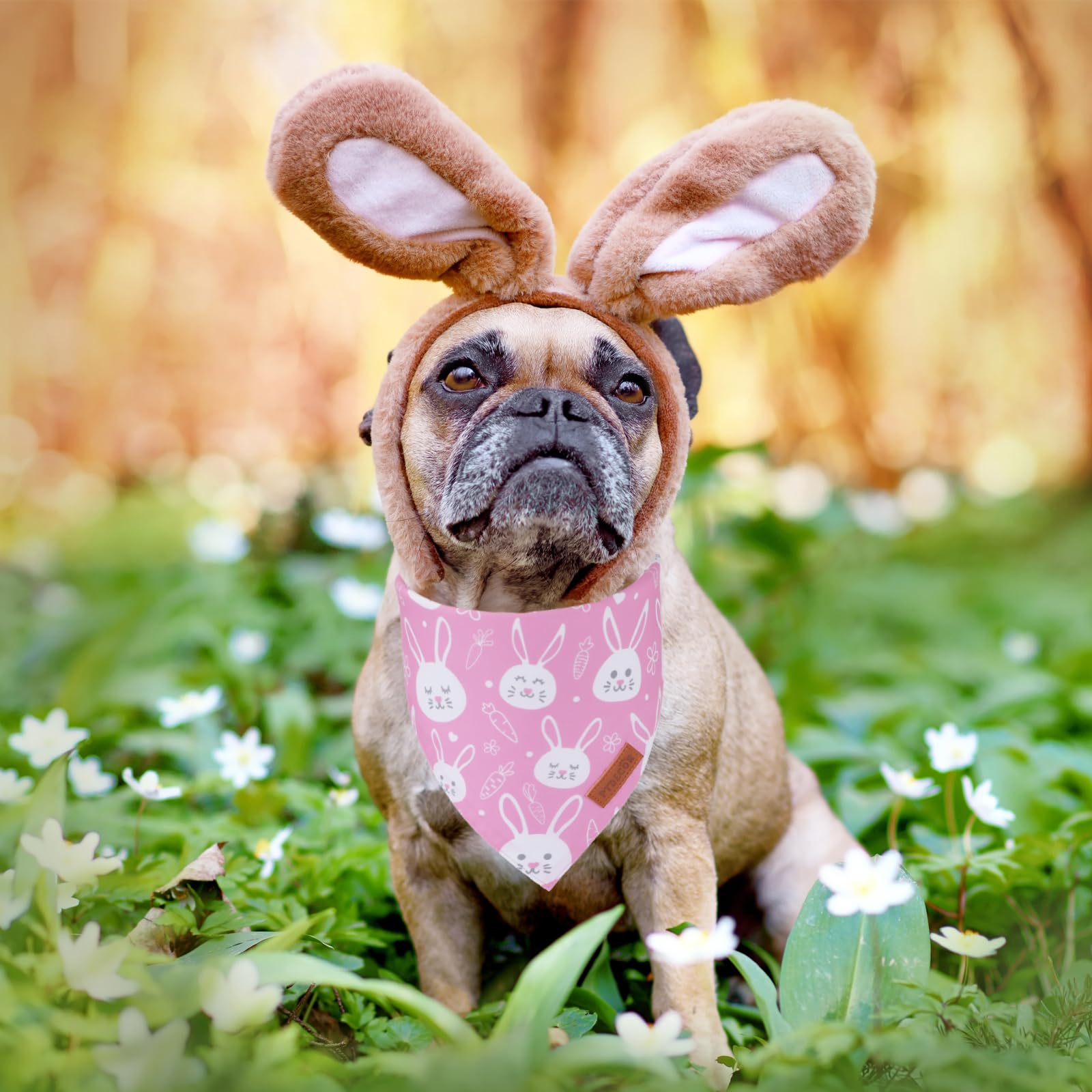 Ptdecor Easter Dog Bandana, Reversible Holiday Easter Dog Scarf, Multi Size, Pink Female Bandanas For Medium Large Pets (Large)