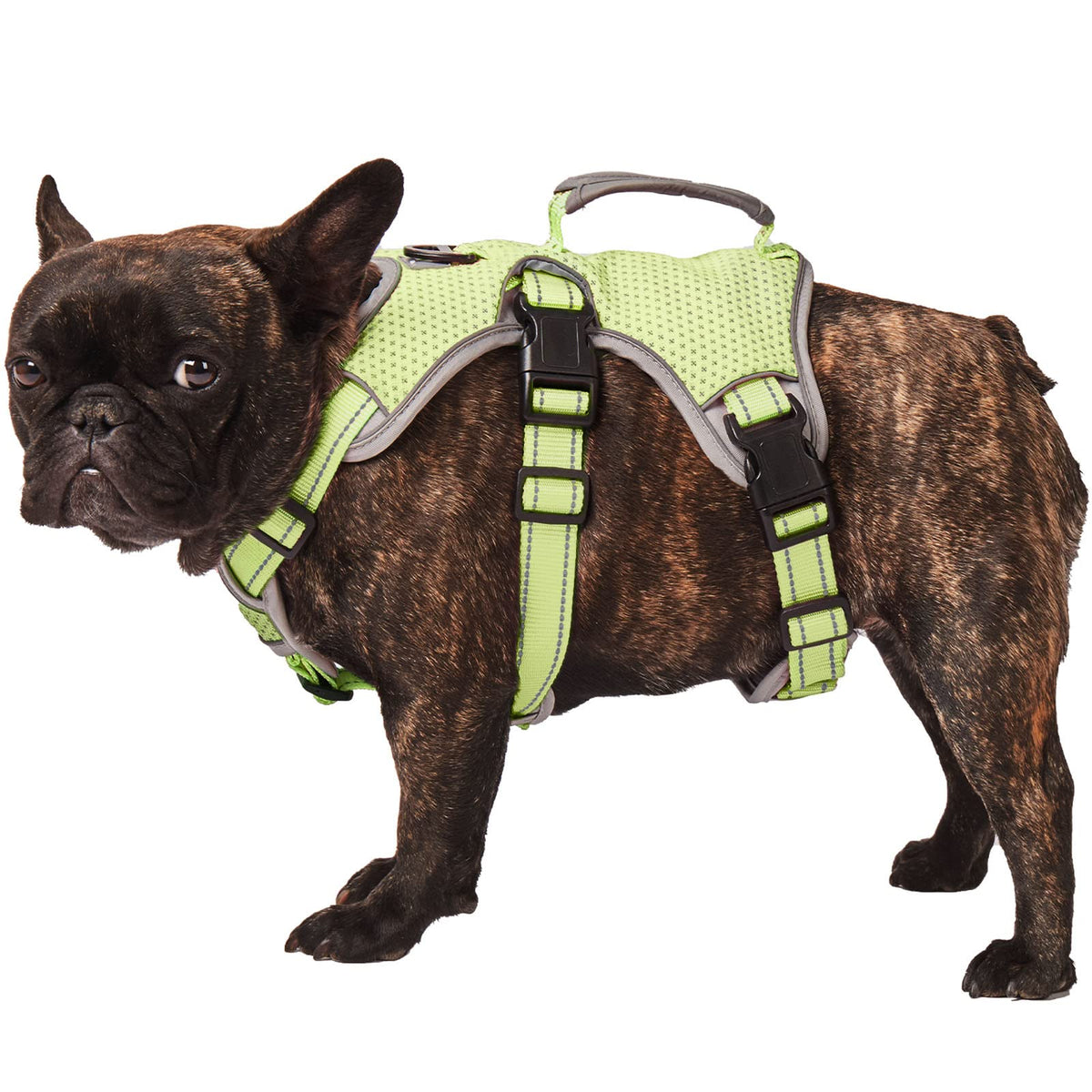 No Escape Dog Harness, Escape Proof Harness, Fully Reflective Harness With Padded Handle, Breathable,Durable, Adjustable Vest For Medium Dogs Walking, Training, And Running Gear Green (Medium)