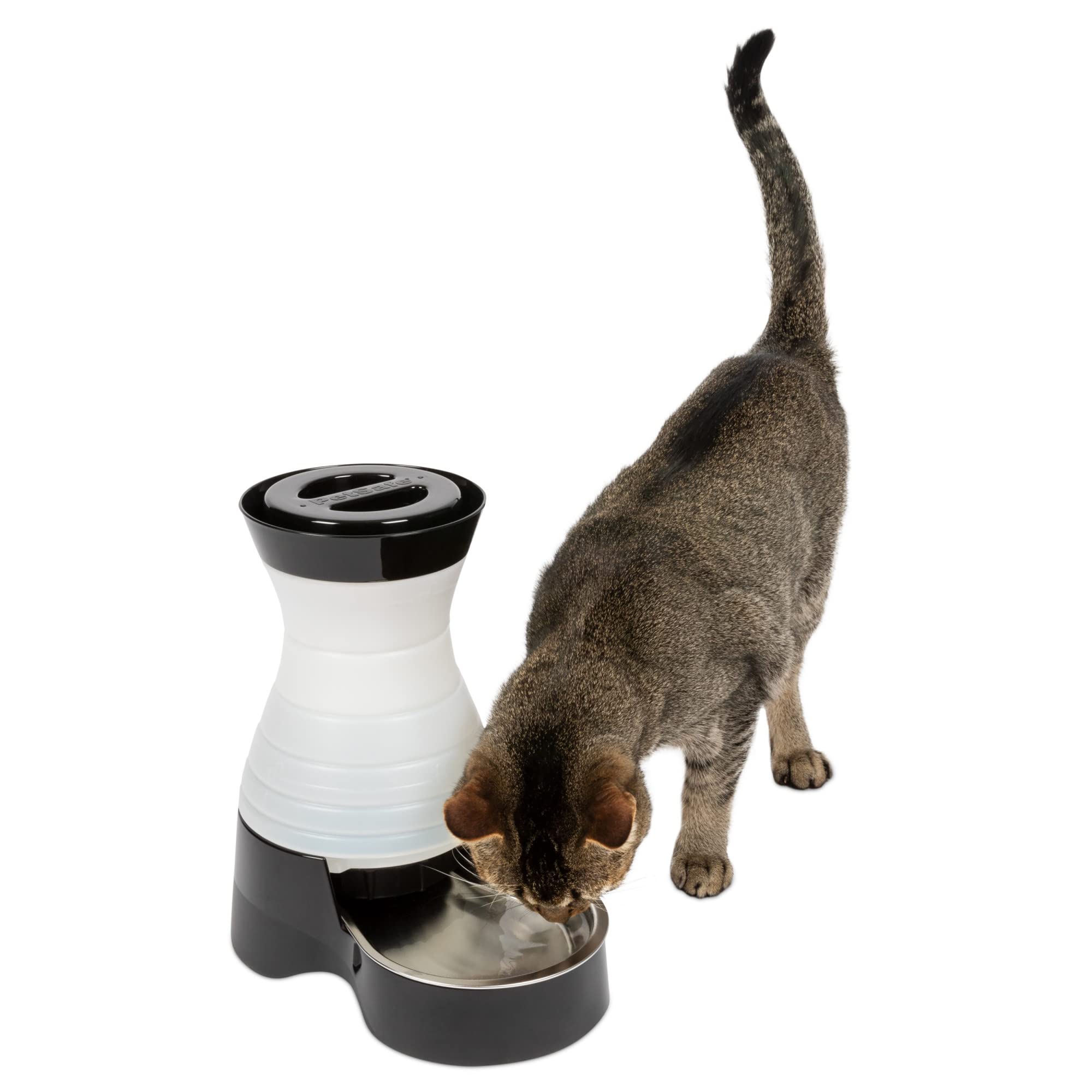Petsafe Healthy Pet Water Station - Small, 64 Oz Capacity - Gravity Pet Water Fountain, Automatic Cat Water Fountain, Dog Water 