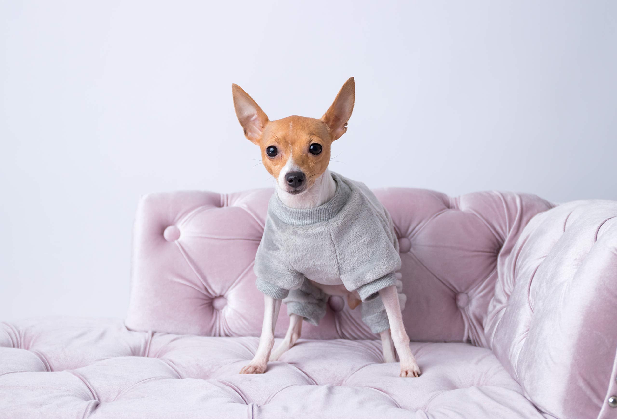 Parisian Pet Dog Pajamas – Grey Dogs Pjs – Stretchable Fleece Dog Pants – Dog Shedding Suit - Machine Washable Dog Jammies - Puppy Body Suit – Dog Pajamas For Large-Sized Dogs - L