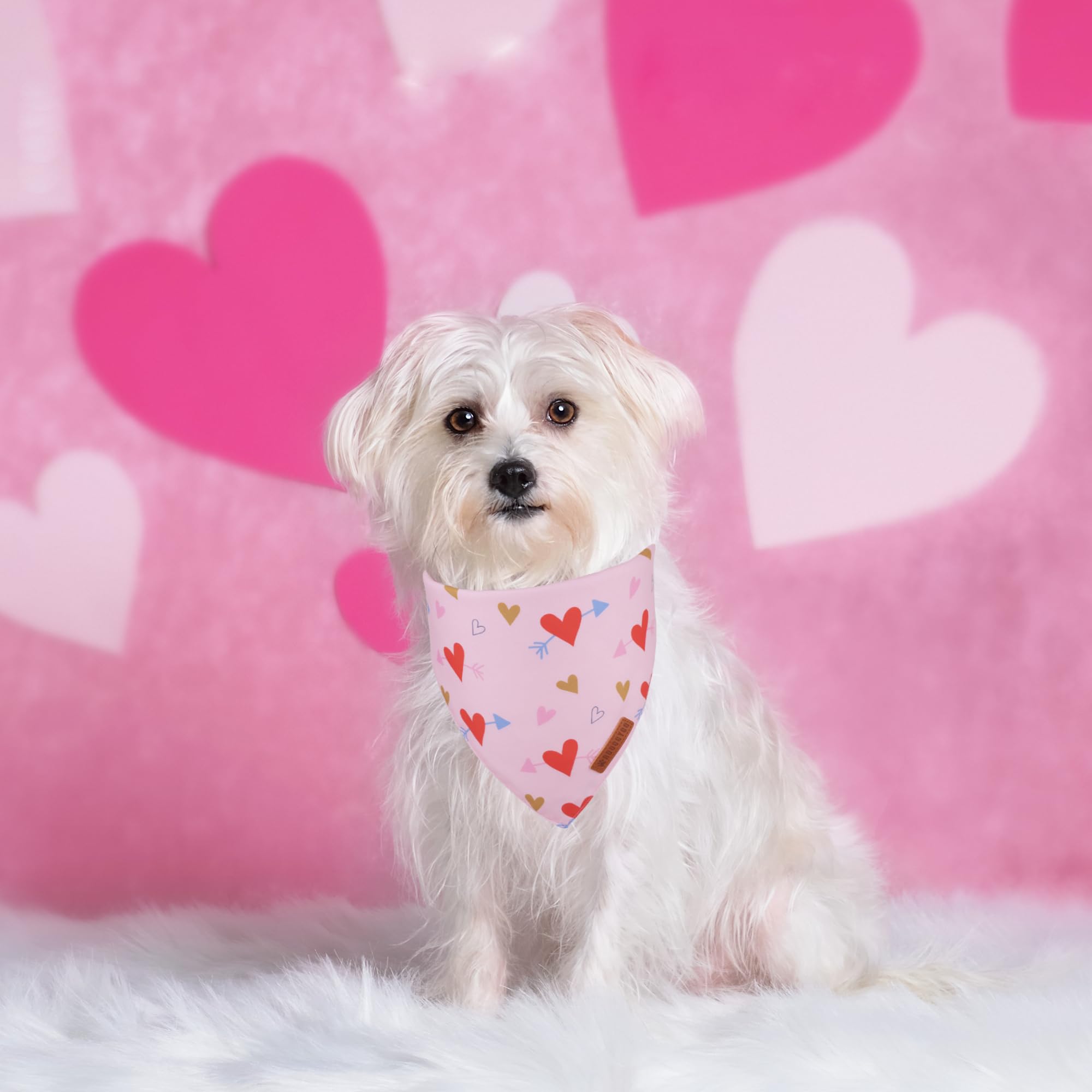 ADOGGYGO Valentine Dog Bandana, Blue Pink Heart Pet Scarf, Premium Durable Fabric, Adjustable Fit Pet Valentine Bandanas for Sma