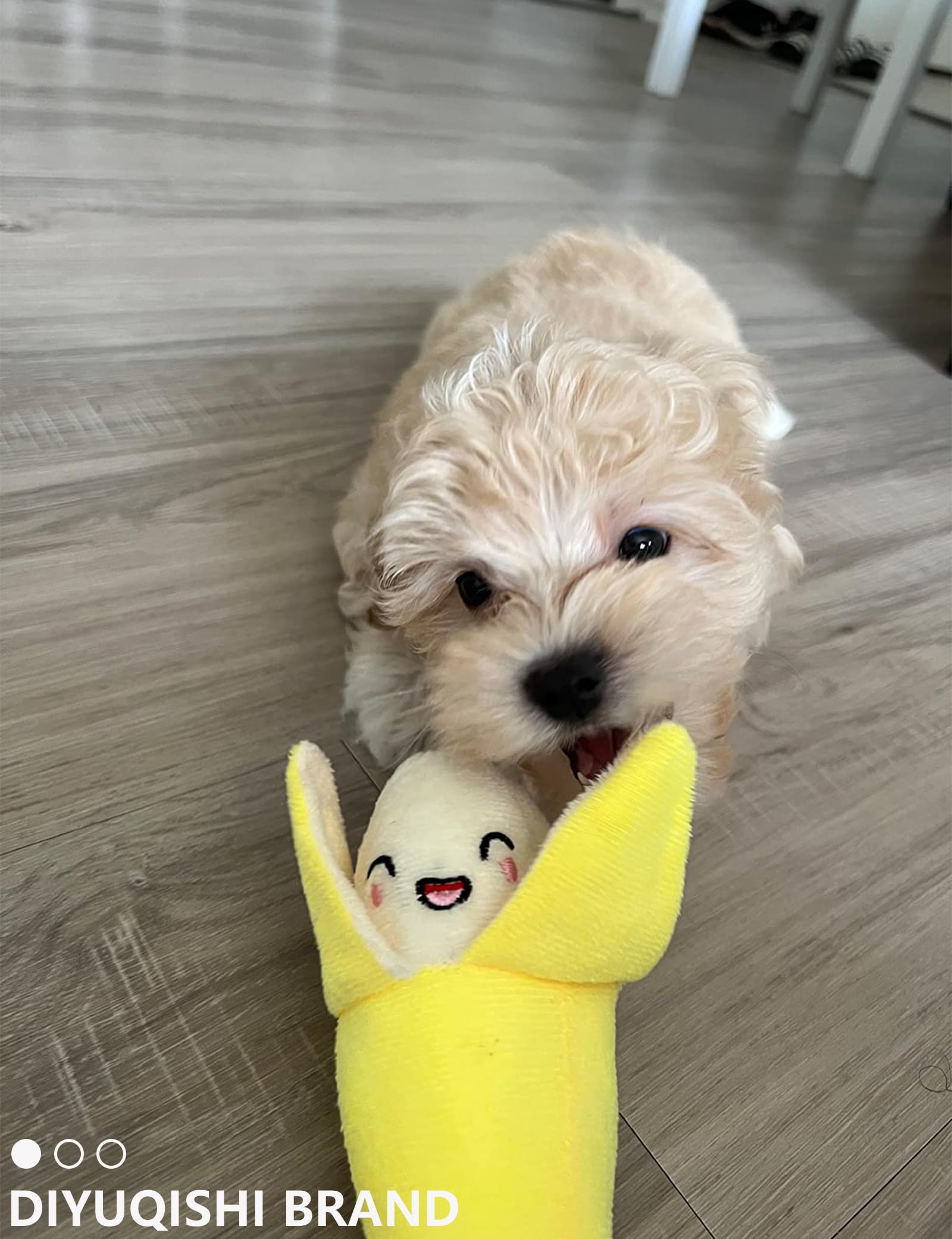 Diyuqishi 2-Pack Puppy Chew Toys - Soft & Sturdy Squeaky Pizza & Banana For Small Dogs, Dental Health, Indoor Playtime Fun (3.9'