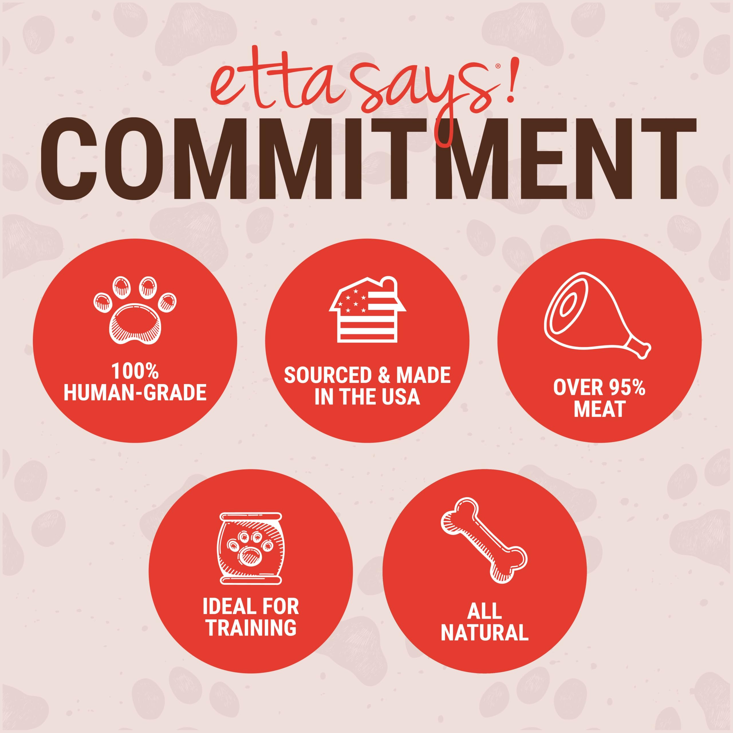 etta says! Yumm Sticks - Real Meat Beef Dog Jerky Treats - Human Grade - Made in The USA (24 Count Pack of 1)