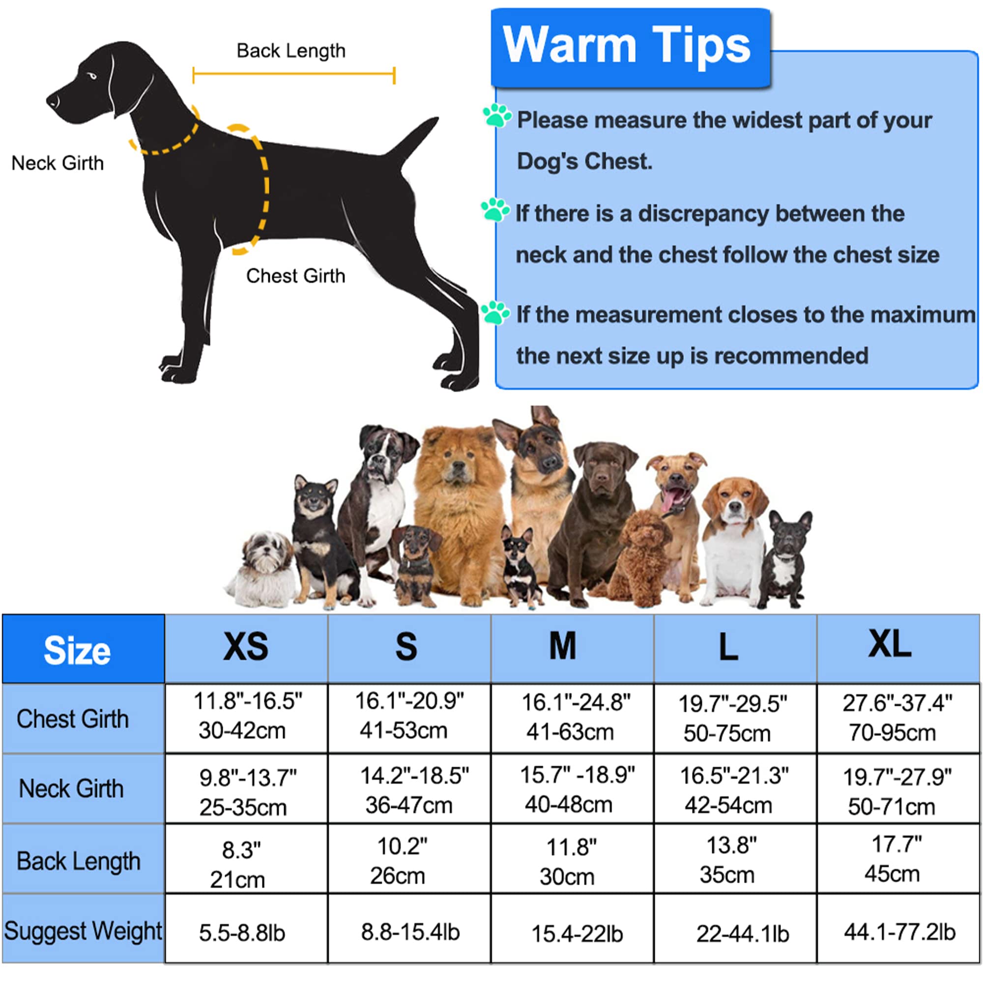 Petglad Dog Life Jacket, Wings Dog Life Vest With Chin Float Rescue Handle For Small Medium Large Dogs, Adjustable High Visibility Flotation Pet Safety Swim Vest For Swimming Boating (Green, Xs)
