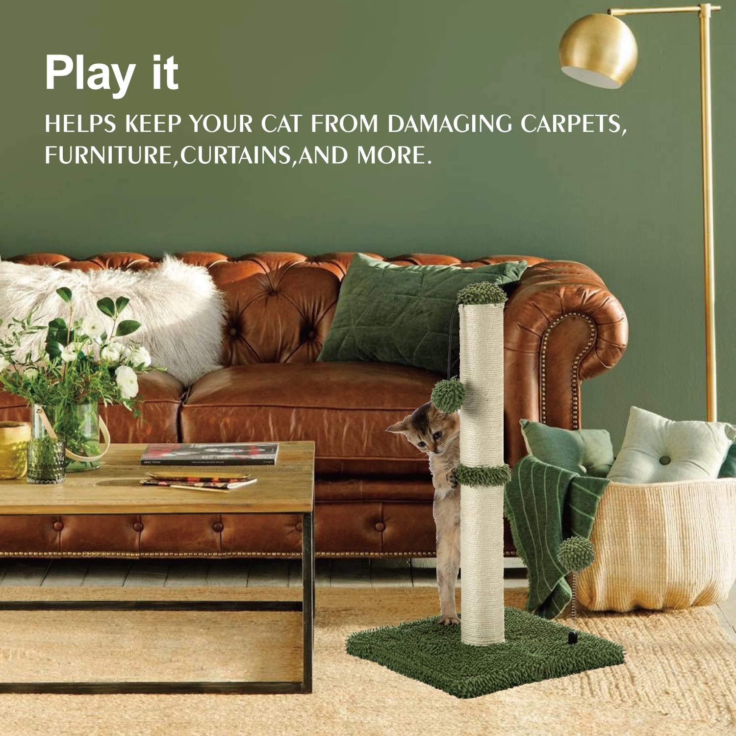 Mecool Cat Scratching Post Premium Basics Kitten Scratcher Sisal Scratch Posts With Hanging Ball 22In For Kittens Or Smaller Cats (22 Inches For Kitten, Cactus Green)