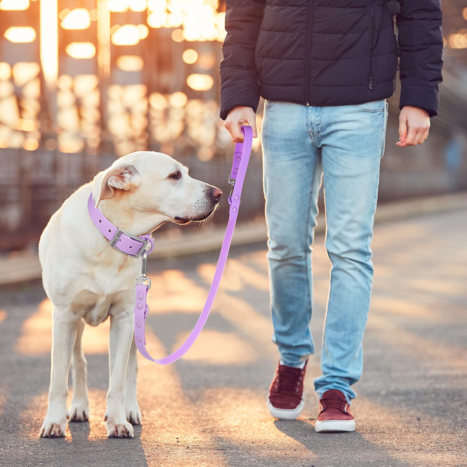 Waterproof Dog Leash: Standard Dog Leashes With 2 Hooks For Walking, Adjustable Lengths For Traffic Control Safety, Durable And Odor Proof, For Medium Large Dogs (Lilac,L)