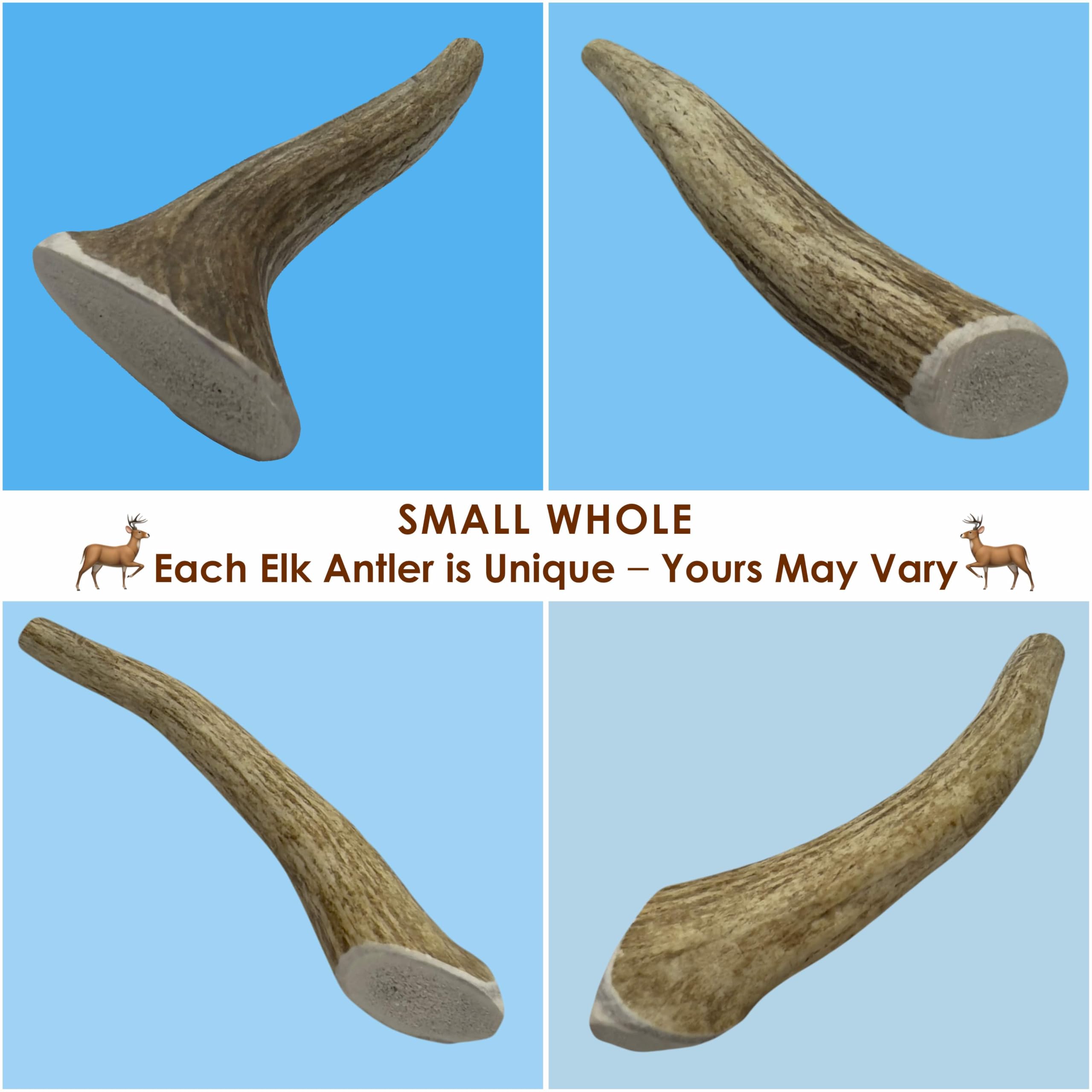 Deluxe Naturals 3-Pack Small Whole Elk Antler Dog Chews (5-7+ in) - Long Lasting, Natural Dog Chews for Small Dogs Under 20 lbs