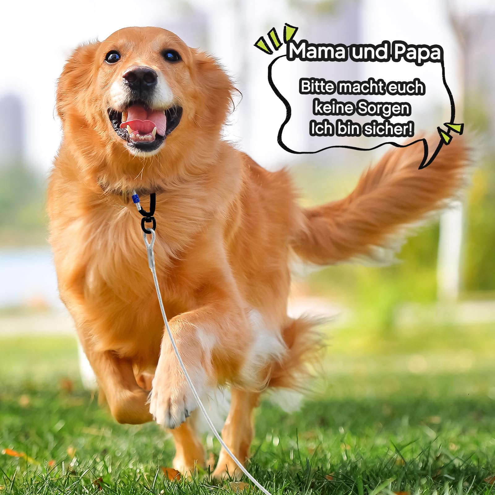 Furggis Tie Out Cable For Dogs,10/15/20/30/50Ft Cable,1000Lbs Break Strength,Heavy Duty Dog Lead For Medium Large Dogs,Dog Runne