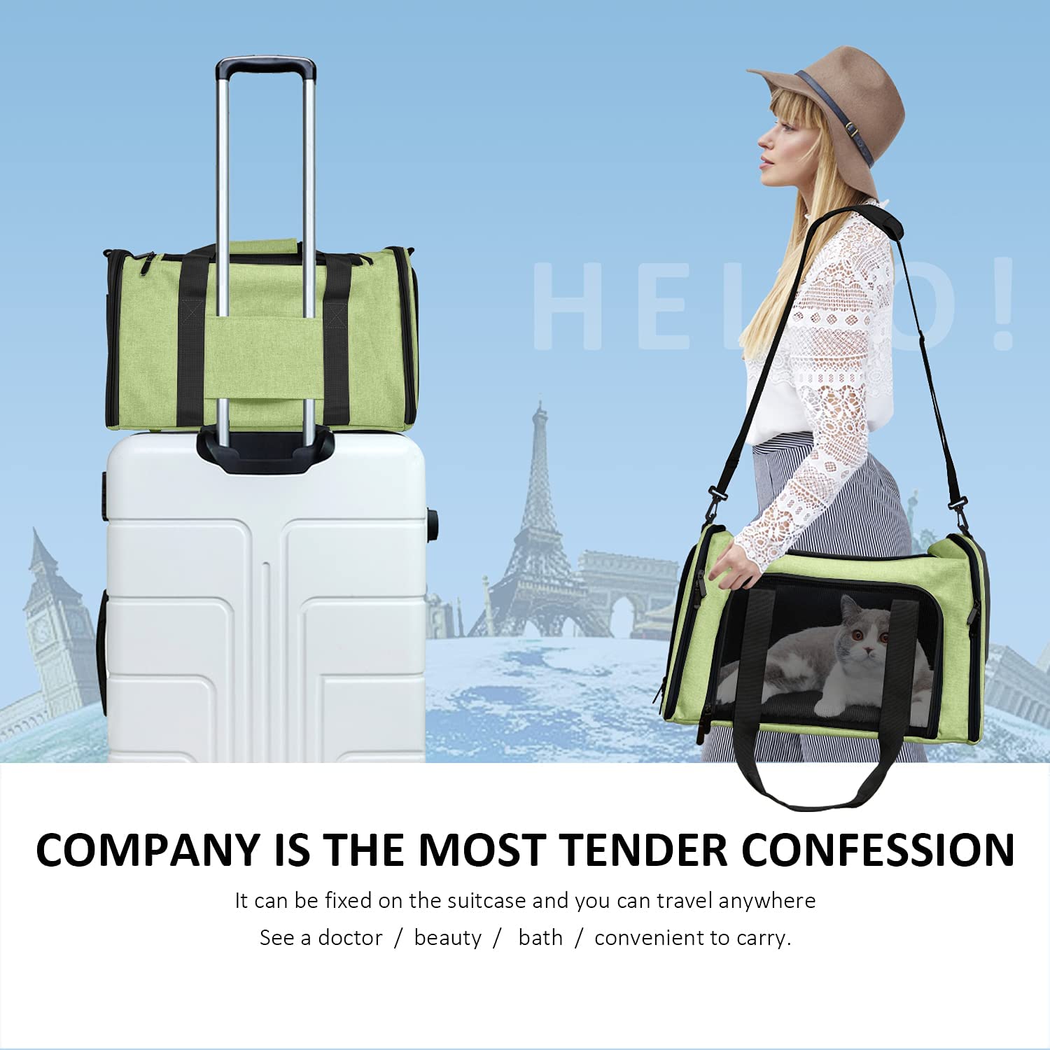 Henkelion Pet Carrier For Small Medium Cats Dogs Puppies Up To 15 Lbs, Airline Approved Small Dog Carrier Soft Sided, Collapsible Travel Puppy Carrier - Green