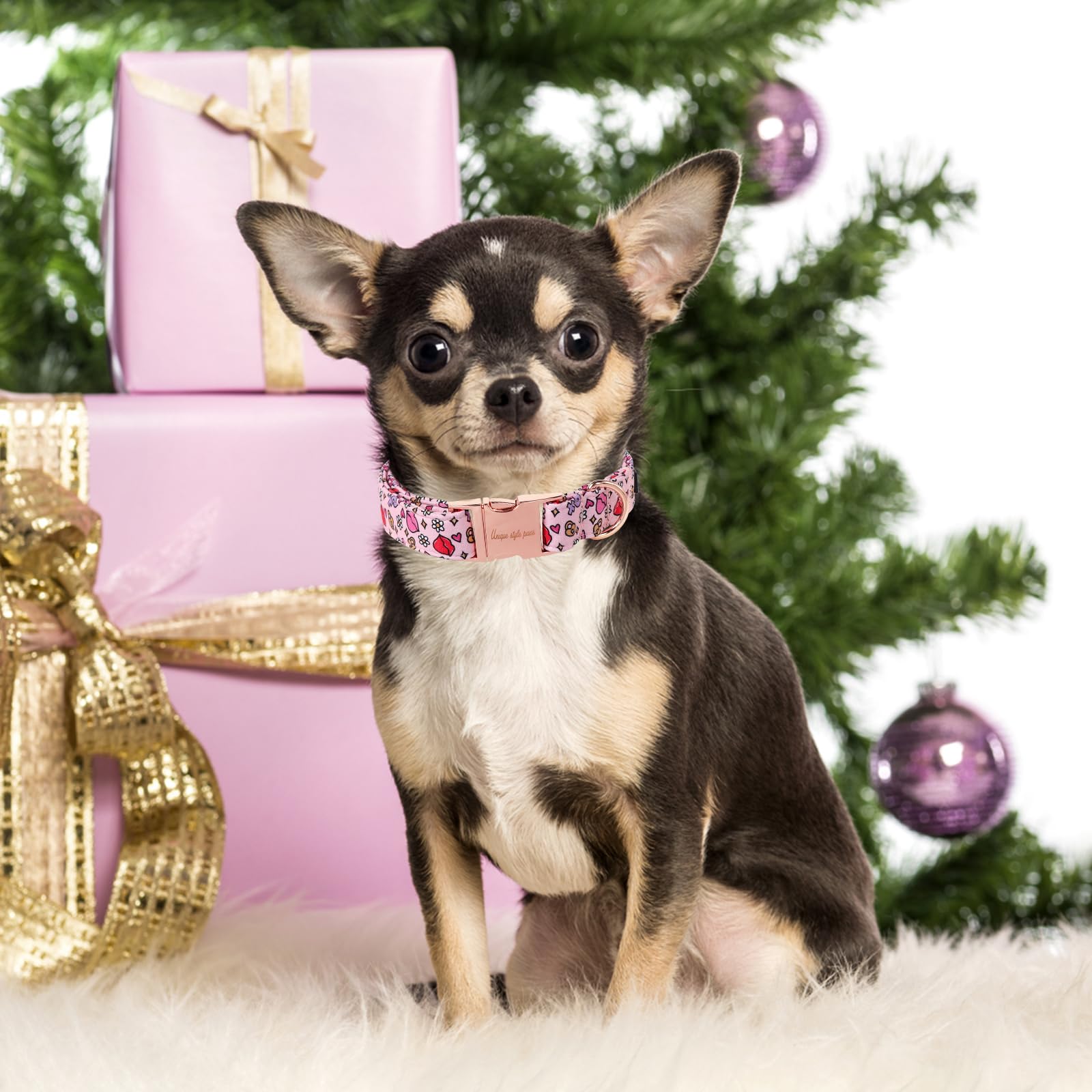 Unique Style Paws Valentine'S Day Dog Collar Metal Buckle Collar Xo Red Lips Gift For Small Medium Large Boys Girls Dogs Wedding