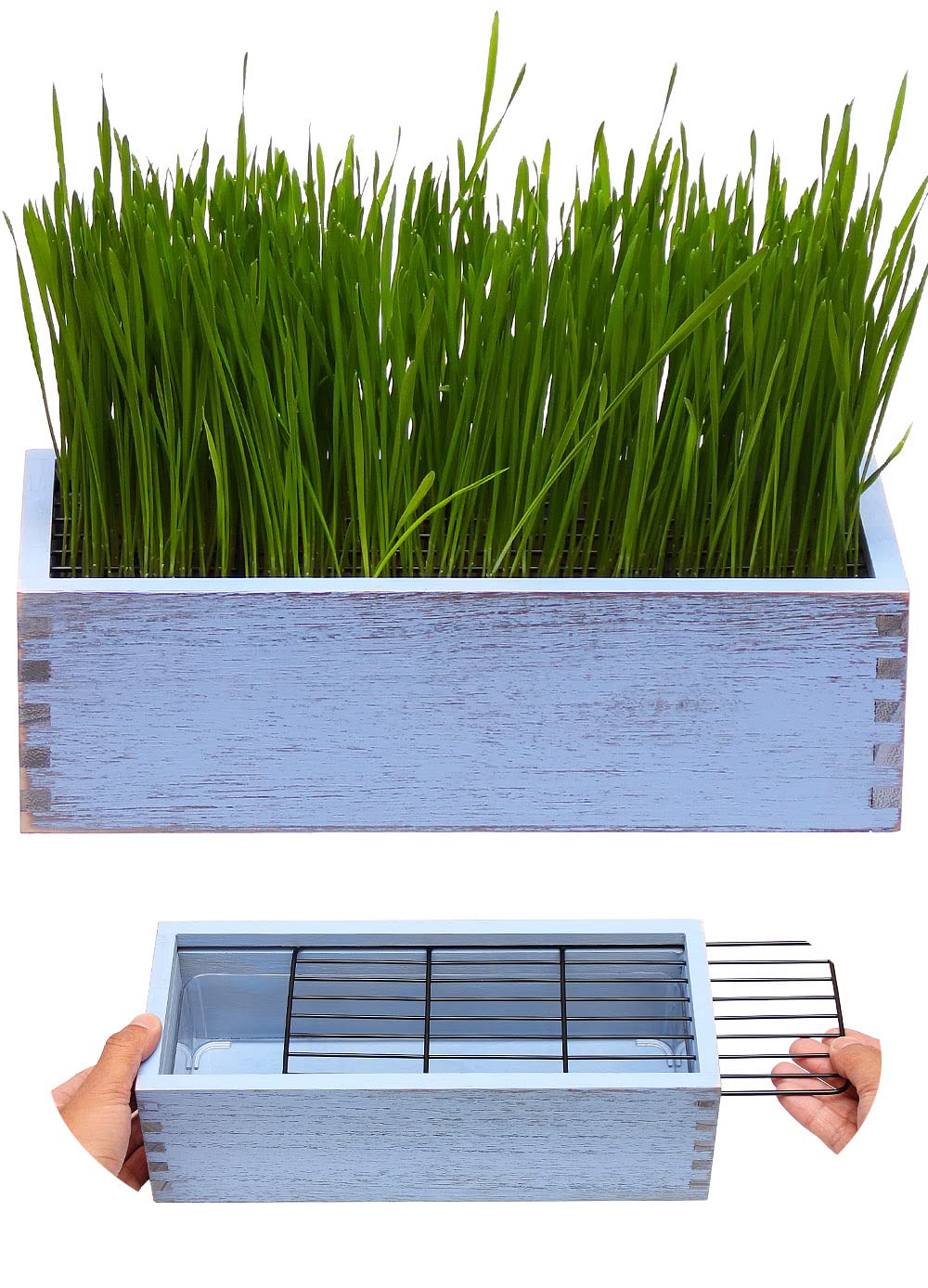 BENPIN Wooden Cat Grass Planter (no Seeds Included) with Anti Digging Design, and Removable Plastic Liner, Wheat Grass Growing P