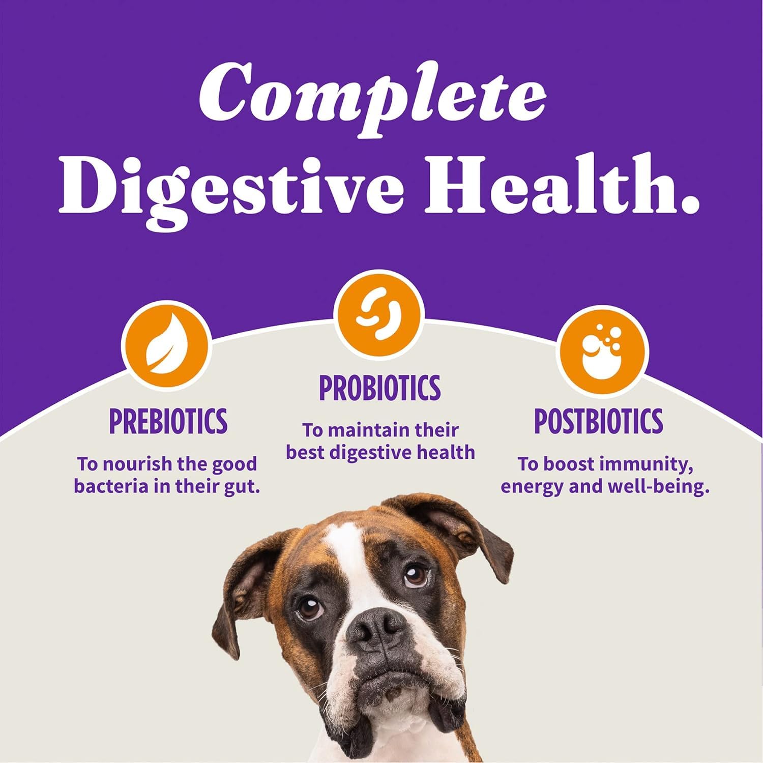 Halo Holistic Small Breed Dog Food, Cage Free Chicken & Brown Rice Recipe, Healthy Grains Dry Dog Food, Complete Digestive Healt