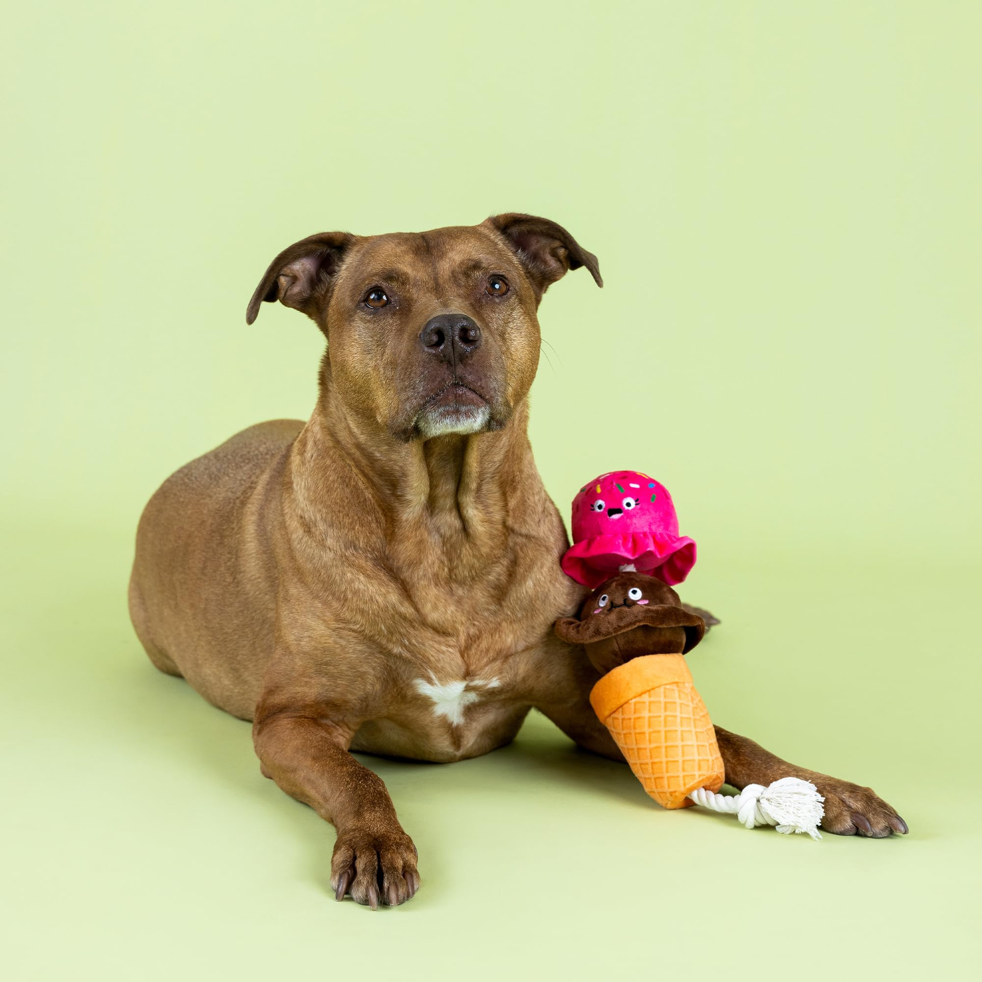 Fringe Studio ''Losing Cone-TROL Plush Dog Toy, Pet Shop Collection (314433)