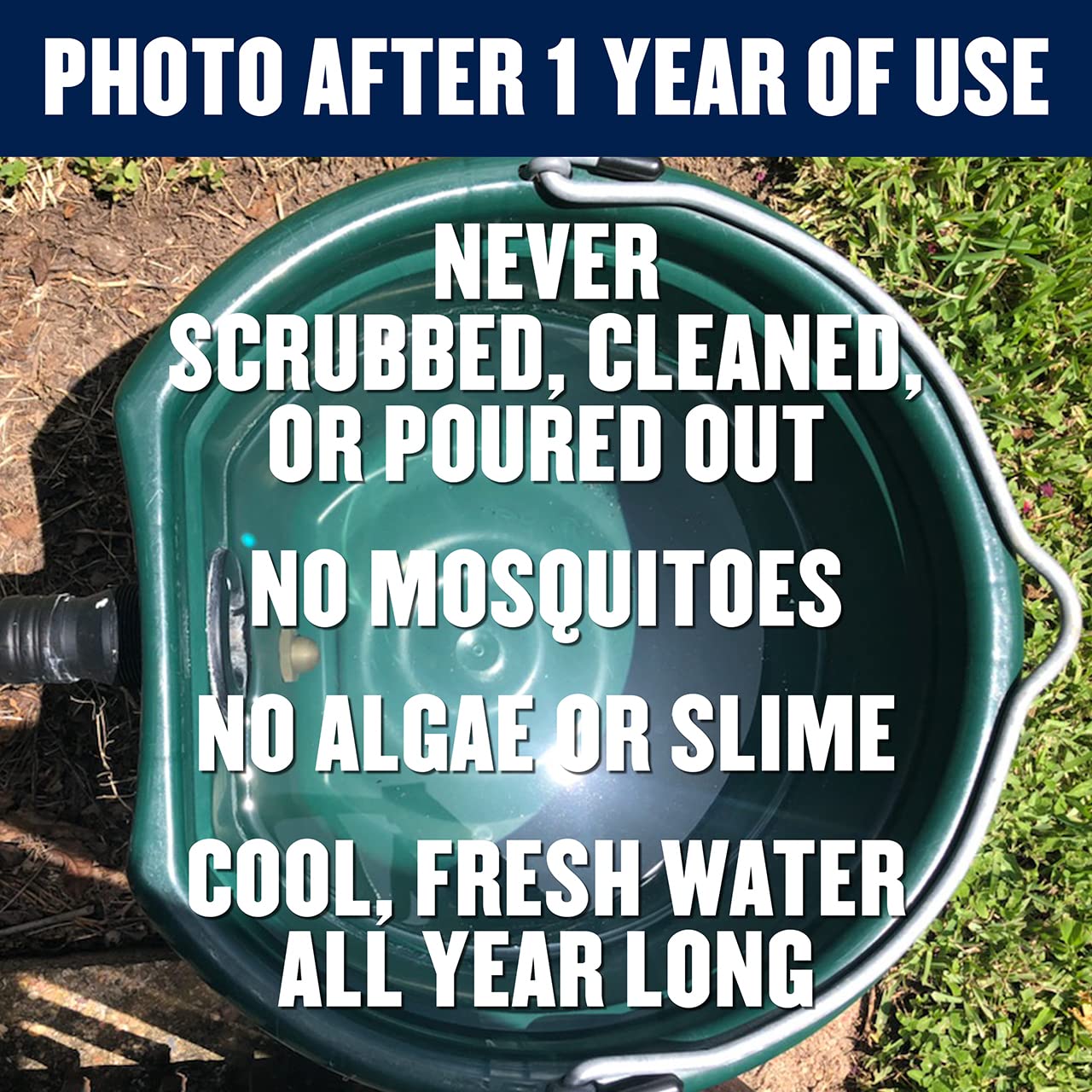 Cowboy'S Self-Cleaning Pet/Dog Waterer (Green)