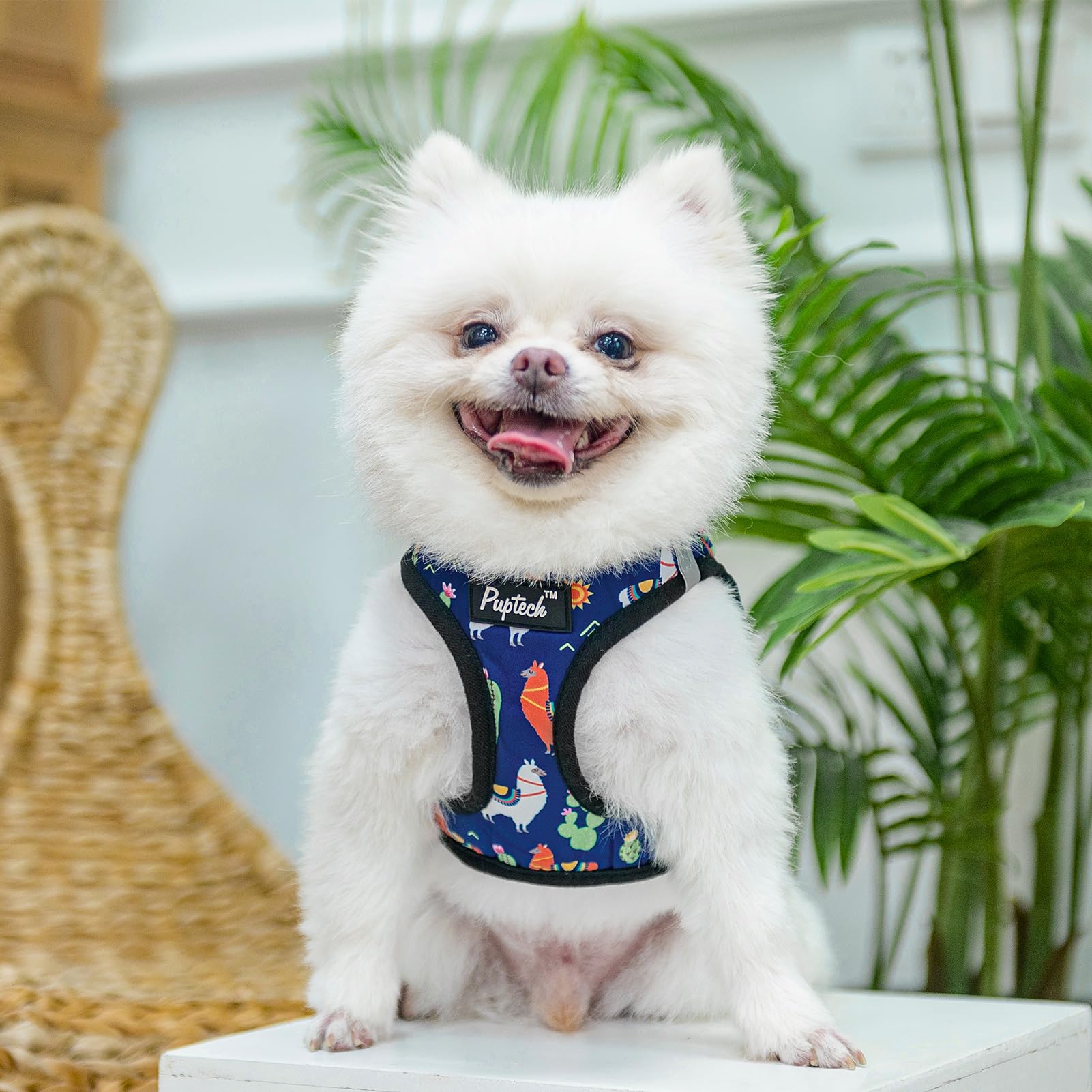 Pupteck Adjustable Dog Harness Collar And Leash Set, Step In No Pull Pet Harness For Small Medium Dogs Puppy Cats Outdoor Walking, Soft Mesh Padded Reflective Vest Harnesses, Navy Blue Alpaca, Xxs