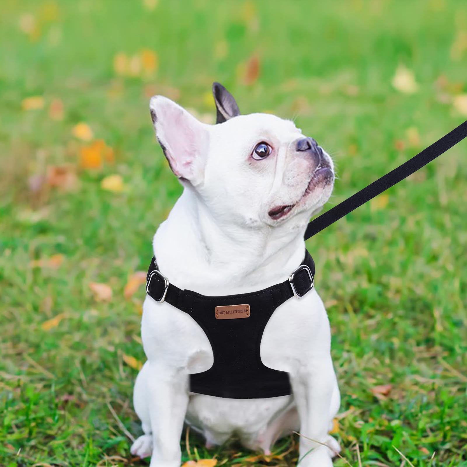 Dog Harness And Leash Set, Xxs No Pull Adjustable Puppy Harness With Multifunction Pink Dog Leash And Dog Collar, Soft No Choke