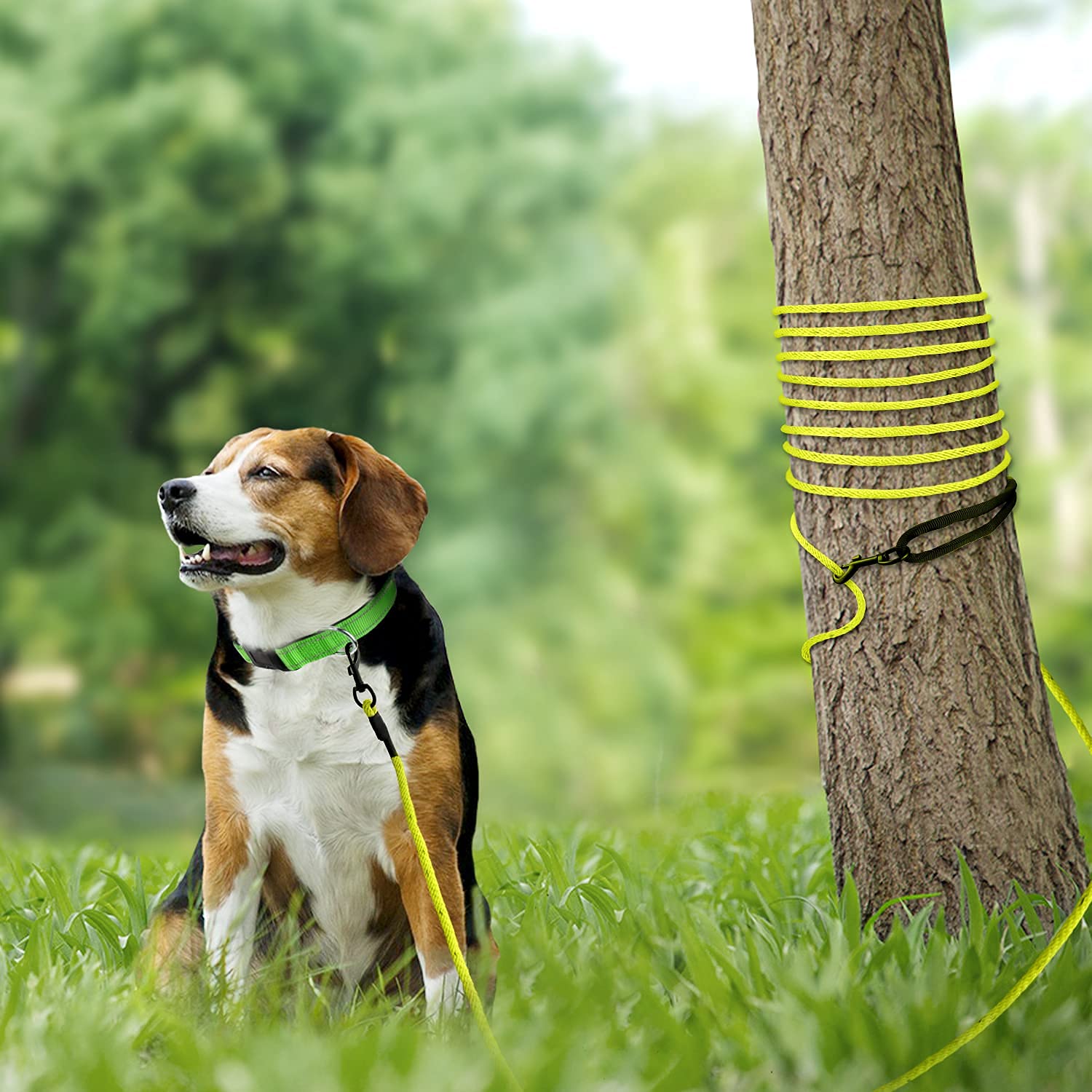 Joytale Long Dog Training Leash, 50 Ft Tie Out Rope Check Cord Dogs Leashes With Padded Handle, Reflective Recall Lead For Puppy And Small Dogs, Yellow