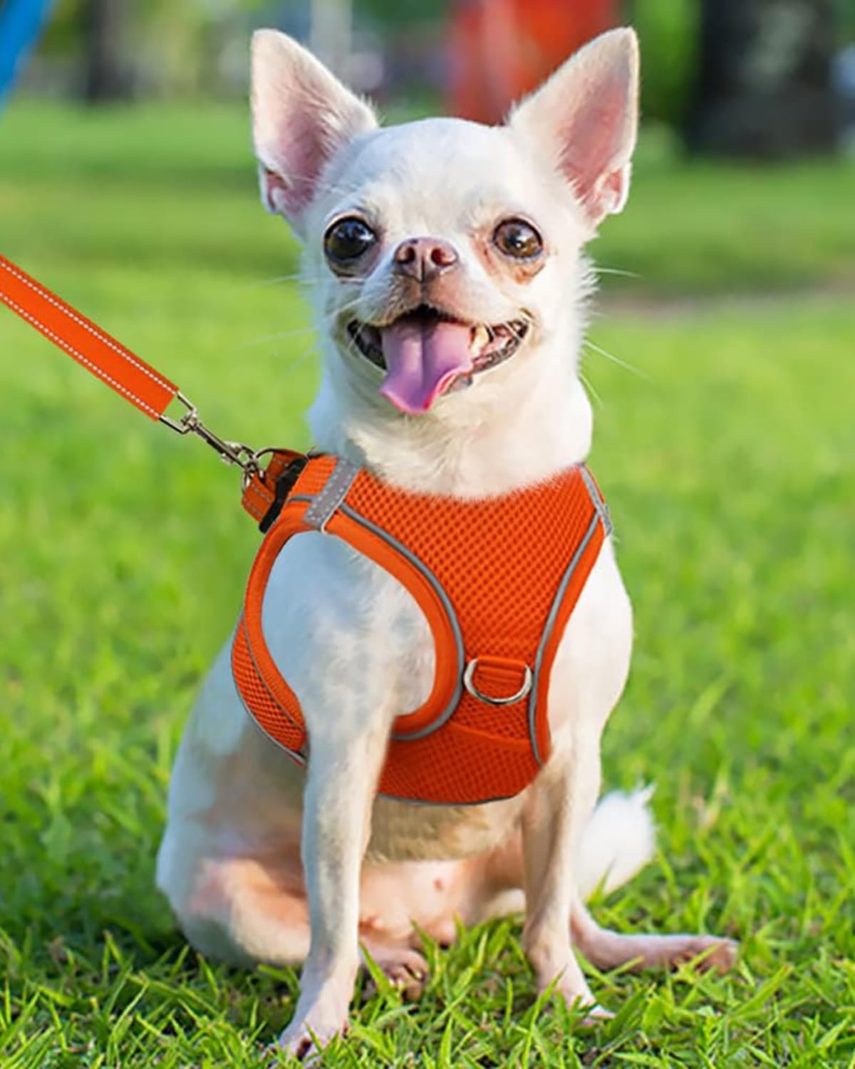Joytale Small Dog Harness, Breathable Mesh Step-In Vest, Reflective Soft Padded Harnesses For Puppies And Extra Small Dogs, Oran