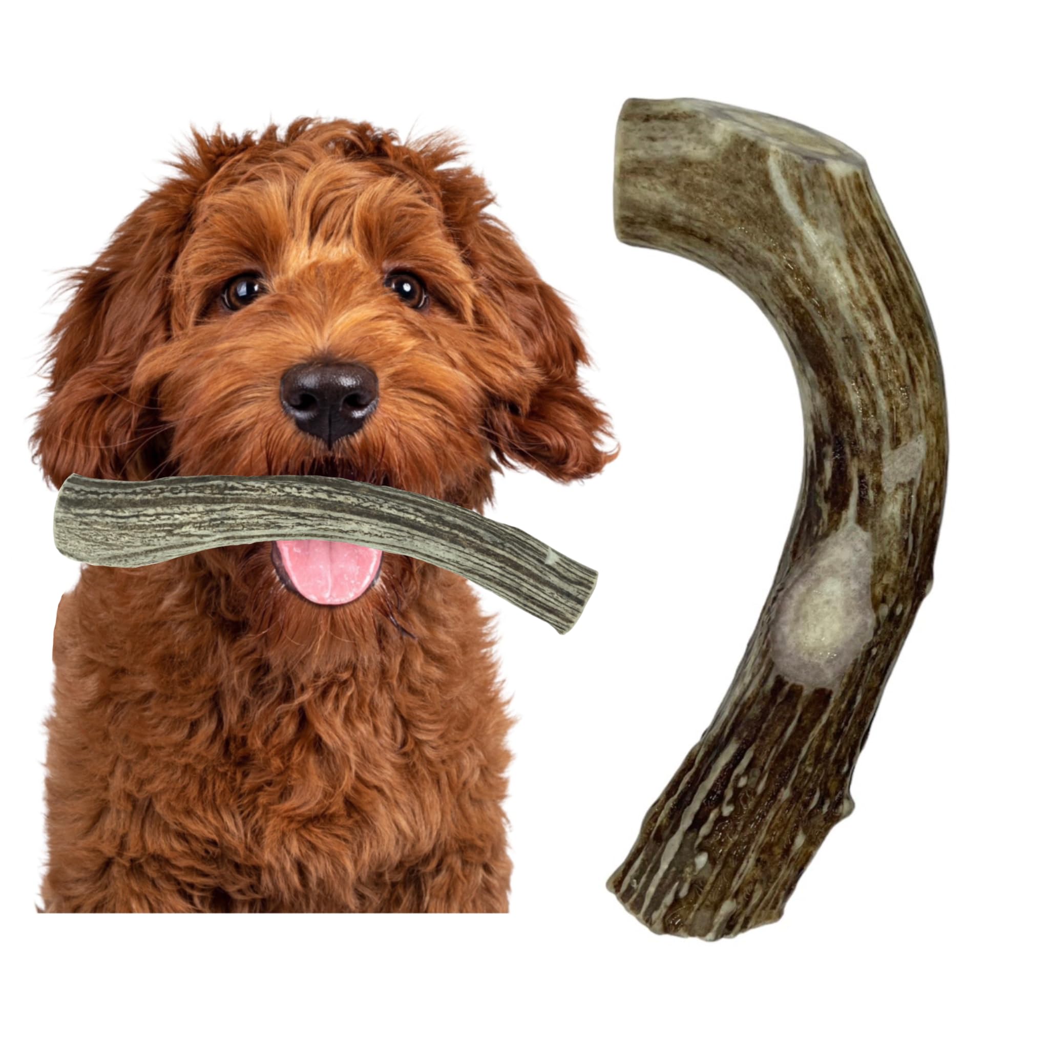 Deer Valley Chews Premium Deer Antler for Dogs - Large 6-7 Inches Long, Single Antler - All Natural Dental Treat for Teething an