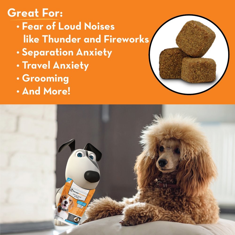 ThunderBites Dog Calming Chews, Thiamine, L-Tryptophan, Melatonin and Ginger, Can Help Relieve Stress from Separation, Storms, F