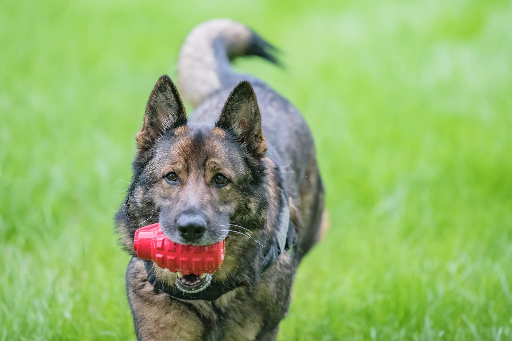 SodaPup USA-K9 Grenade - Durable Dog Treat Dispenser and Chew Toy Made in USA from Non-Toxic, Pet Safe, Food Safe Natural Rubber