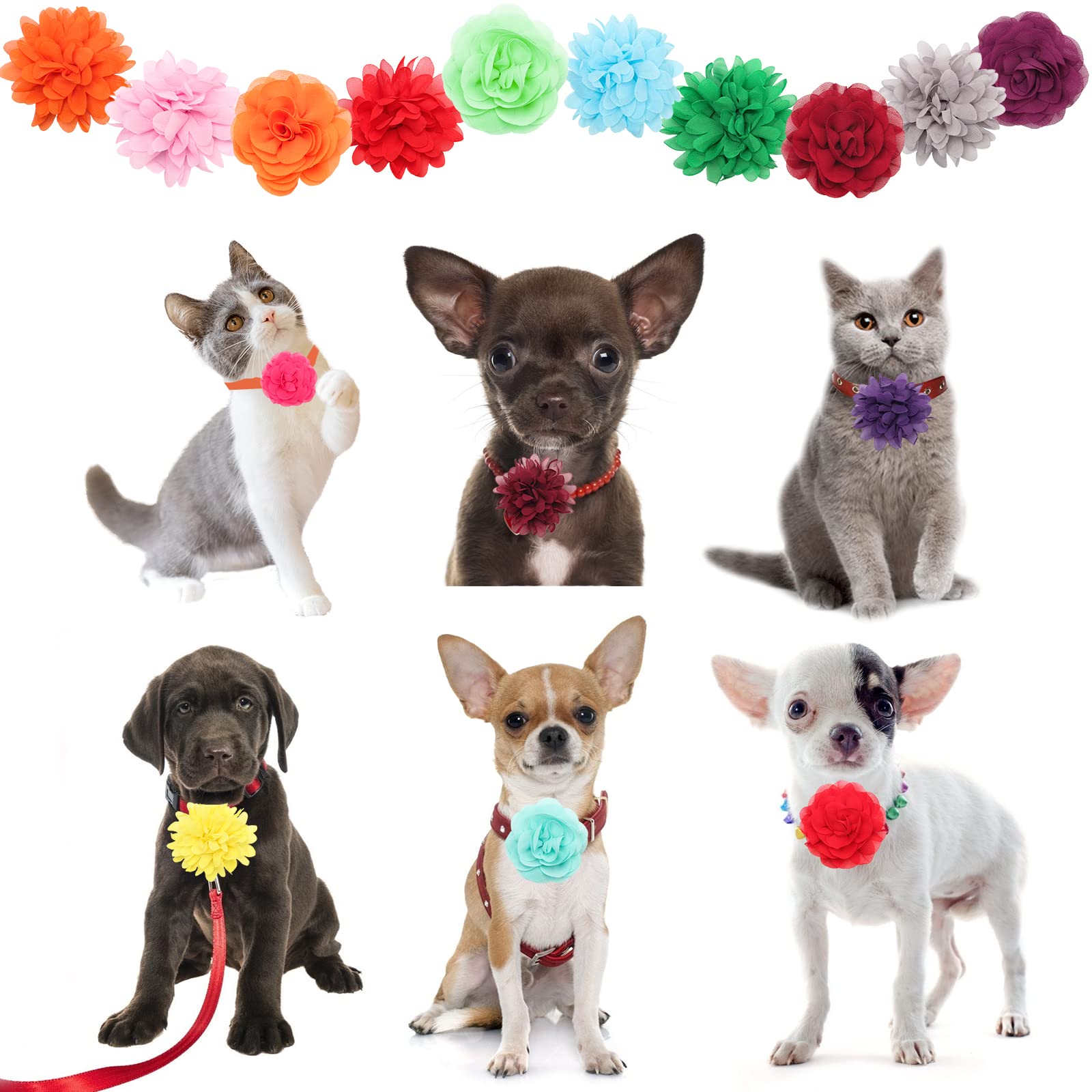 20Pcs Dog Flower Collar Accessory, Catcan Multi-Color Pet Flower Collars 2 Style Soft Chiffon Dog Bow Tie Charms Flower For Puppy Collar Grooming Accessories