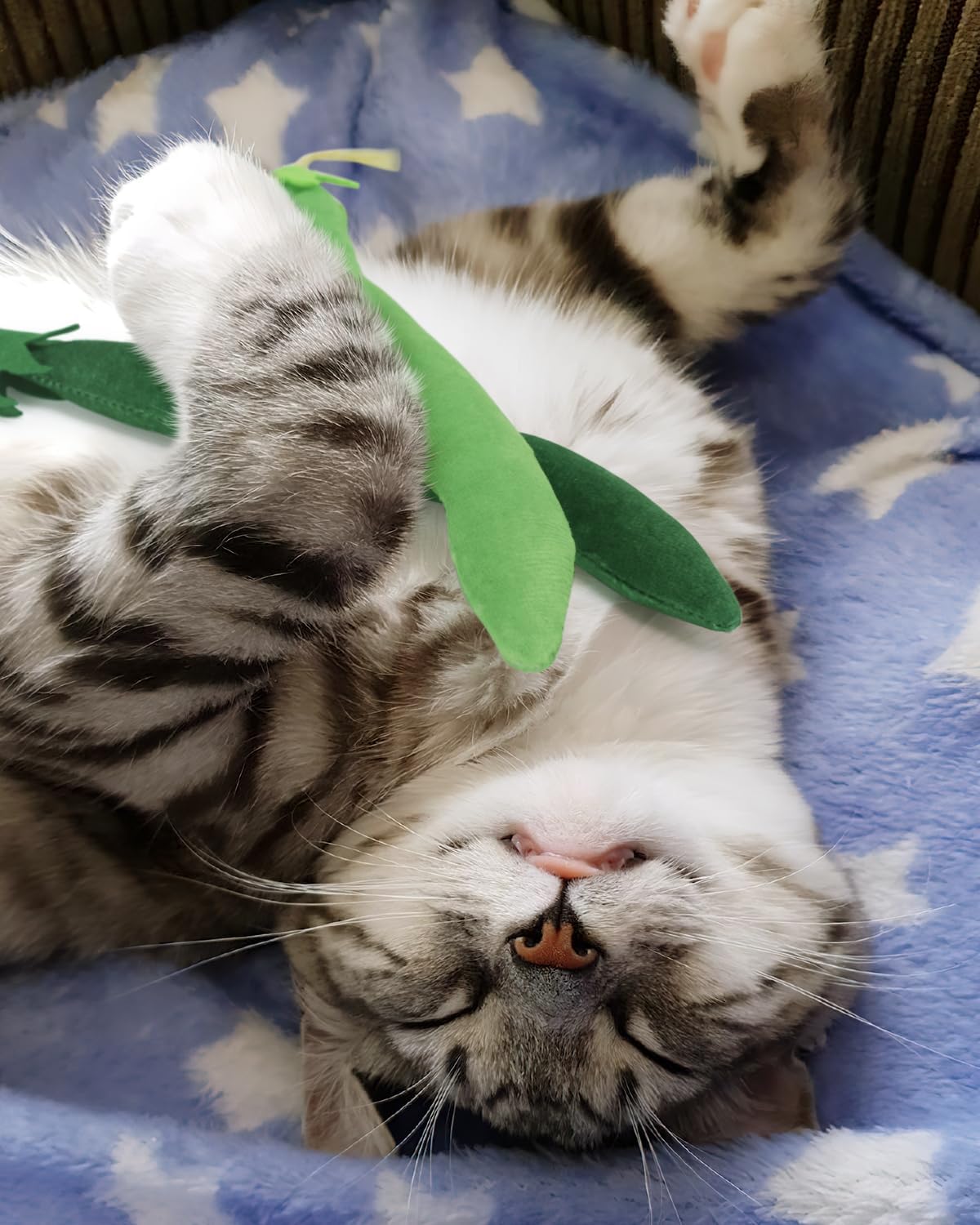 CiyvoLyeen Catnip Toy, Green Bean Cat Toys Kitten Supplies Interactive Kicker Vegetables Vegan Dental Health Teething Chew Gift