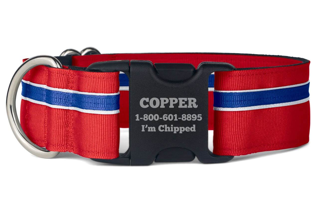 If It Barks Personalized 1.5'' Striped Dog Collar - Engraved Name - Custom Size, Patriotic