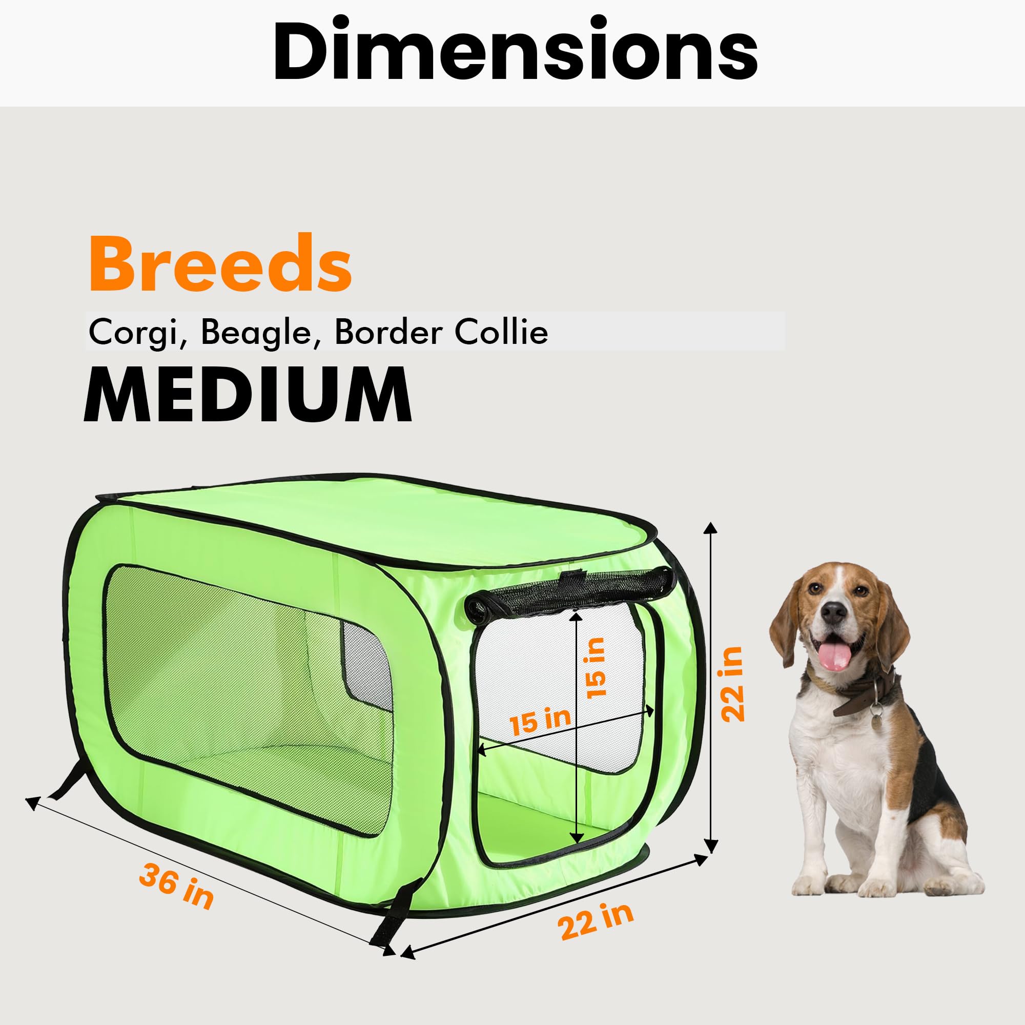 Beatrice Home Fashions Portable, Collapsible, Pop Up Kennel Travel Cat And Dog Crate, 36' L X 22' W X 22' H, Green