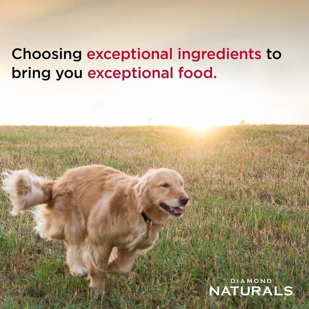 Diamond Naturals Adult Dry Dog Food Lamb Meal and Rice Formula Made with Lamb Protein, Probiotics and Essential Nutrients to Sup