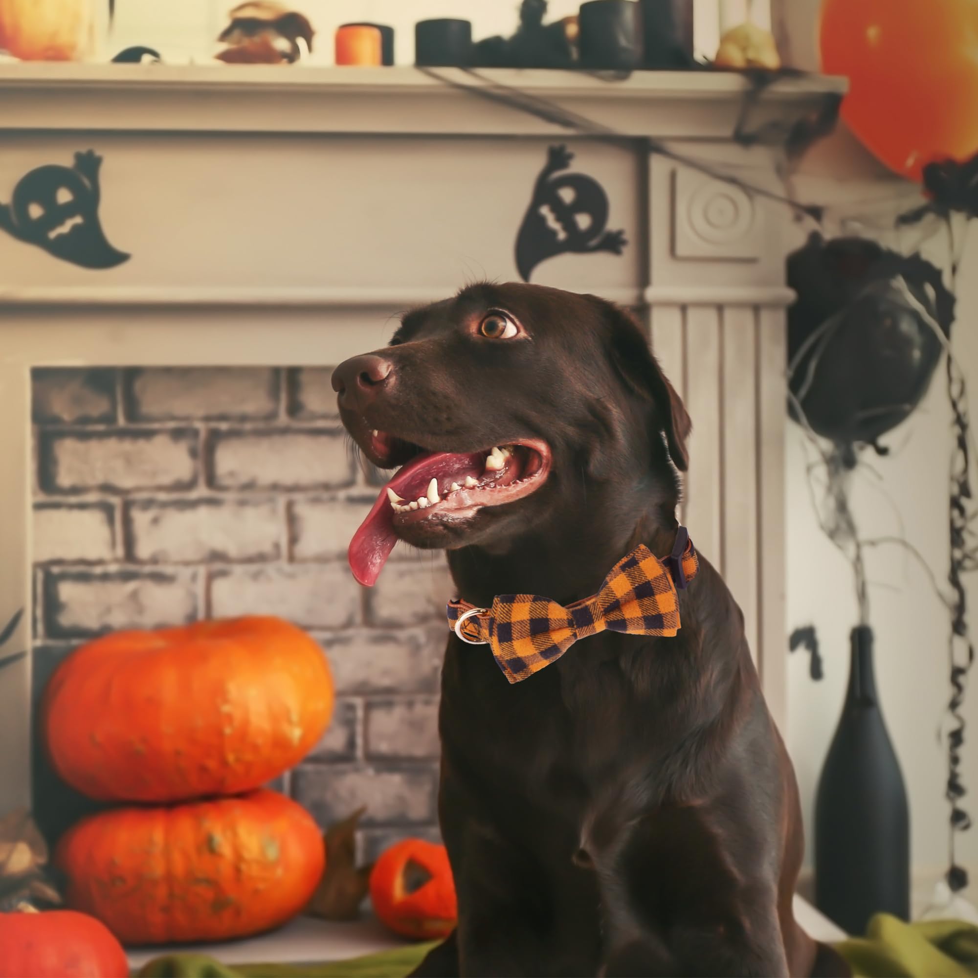 Adoggygo Halloween Dog Collar With Bow, Adjustable Plaid Dog Collars With Removable Bowtie Orange Purple Plaid Halloween Collars For Large Dogs Pets (Large, Orange&Purple)