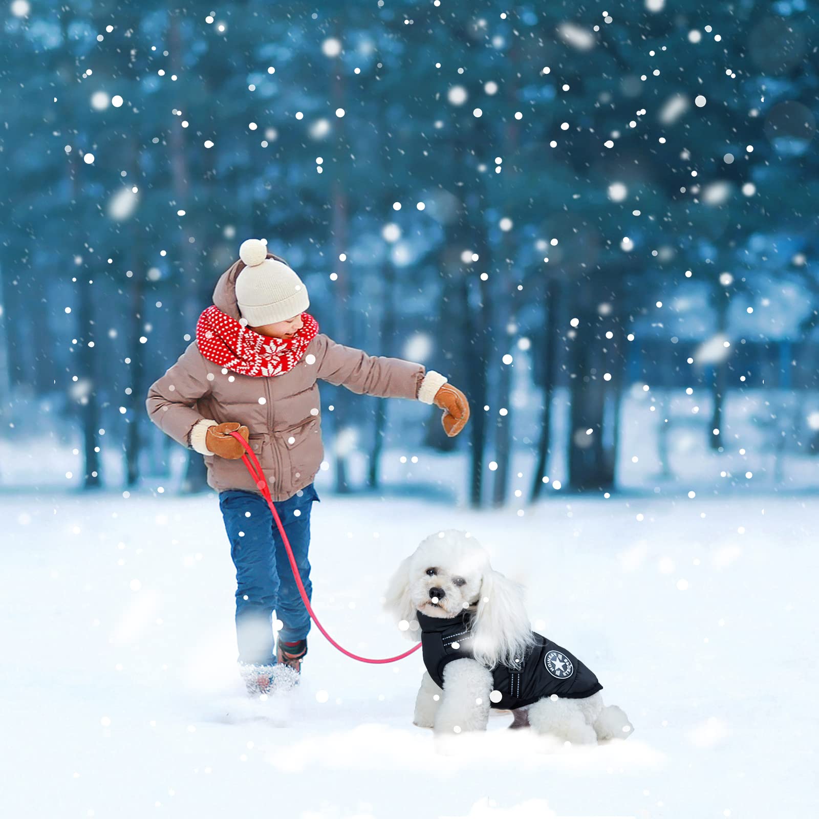 Aimydog Warm Dog Winter Coat, Fashion Sports Dog Cold Weather Jacket With Built-In Harness, Reflective & Adjustable Comfortable Pet Vest, Waterproof Windproof Dog Apparel For Small Dogs (Purple)