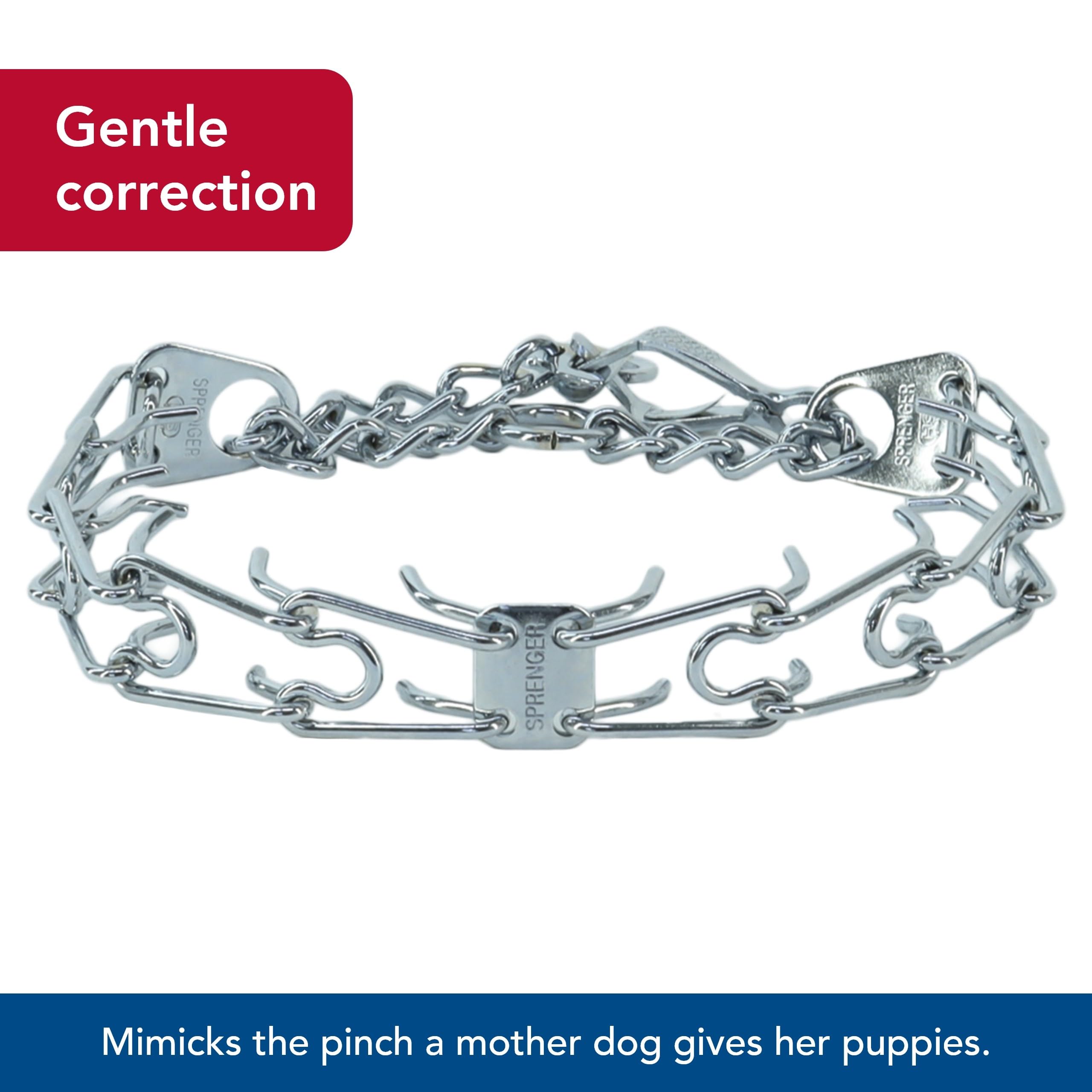 Herm Sprenger Pinch Dog Collar With Quick Release Snap Lrg