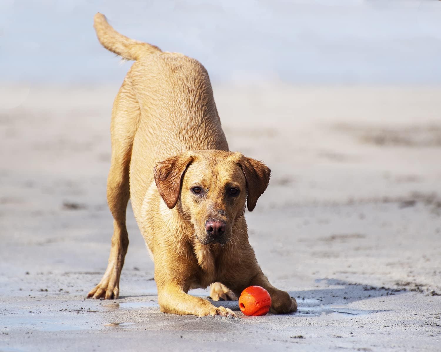 Chuckit! Fetch Medley Dog Ball Dog Toys, Medium (2.5 Inch) Pack Of 3, For Medium Breeds, Includes Whistler, Max Glow And Rebounc