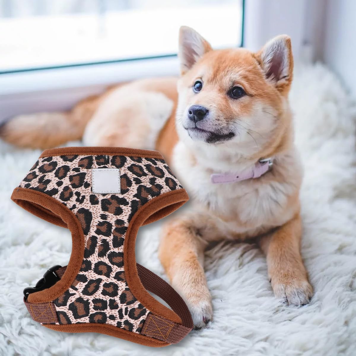 Tehaux Pet Dog Harness Adjustable Leopard Print Canvas Chest Harness For Small Pets Comfortable Fit, Size S