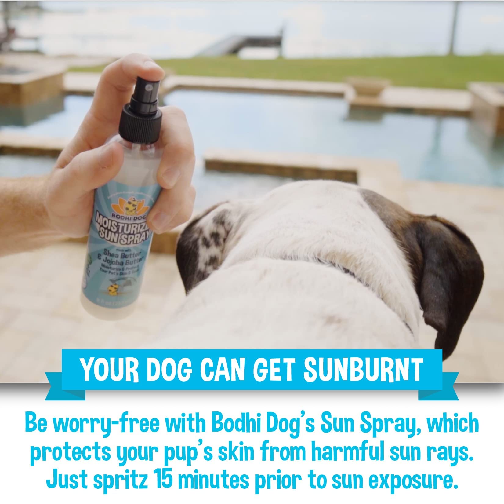 Bodhi Dog Sunscreen | Large 8Oz Spf 30+ Moisturizing Pet Sunscreen | Safe For All Breeds Of Dogs, Cats And Horses | Natural Skin Protection And Conditioner For Skin, Coat, Nose, And Ears | Usa Made