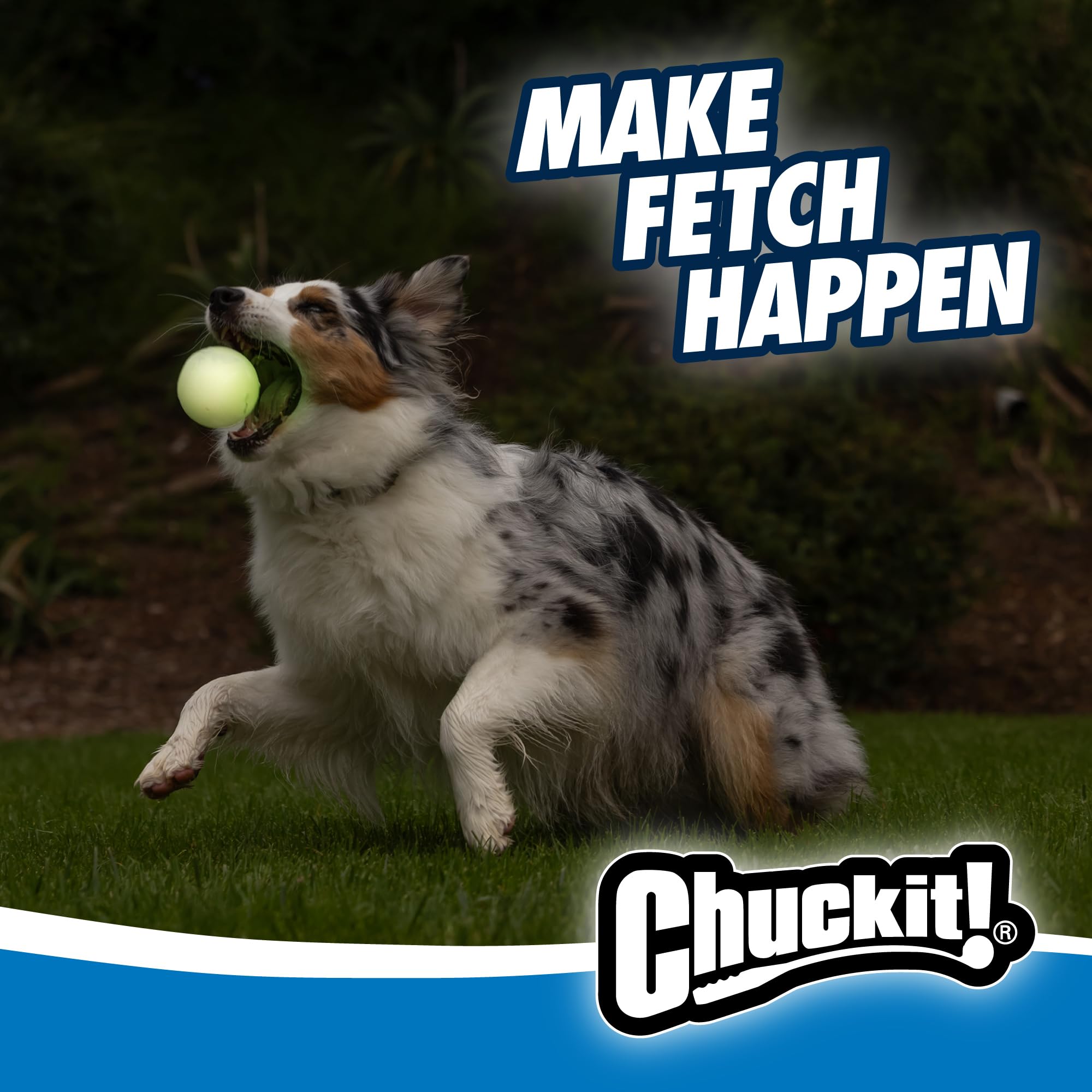 Chuckit! Max Glow Ball Dog Toy, Medium (2.5 Inch Diameter) for dogs 20-60 lbs, Pack of 1