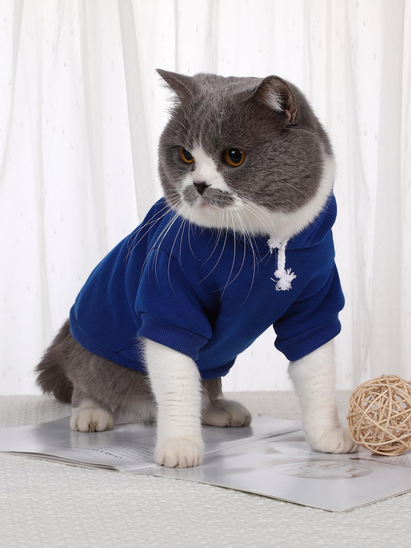 Qweee Basic Dog Hoodie, Cat Apparel, Dog Shirt, Royal Blue S